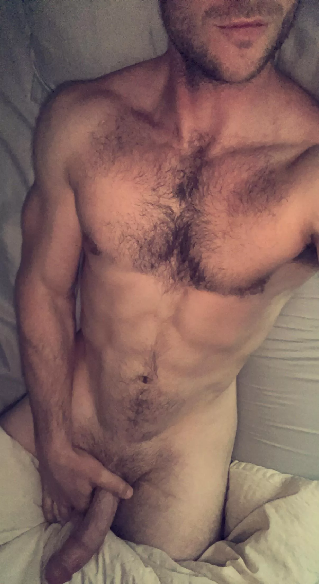 (35) I love crawling back in bed after a long workout! posted by phillycheezesteak15