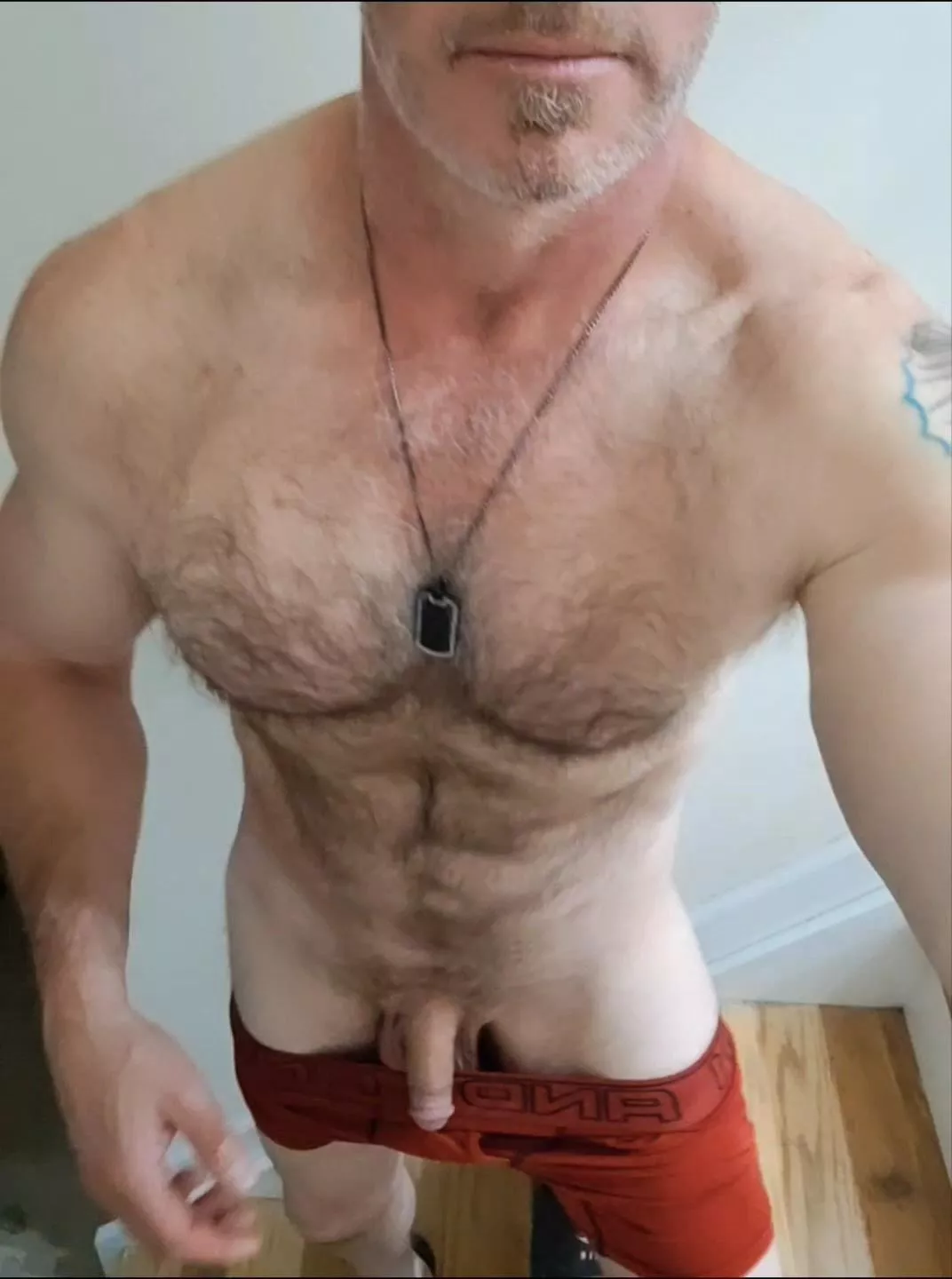 (51) my Dad Bod posted by splurgebrother