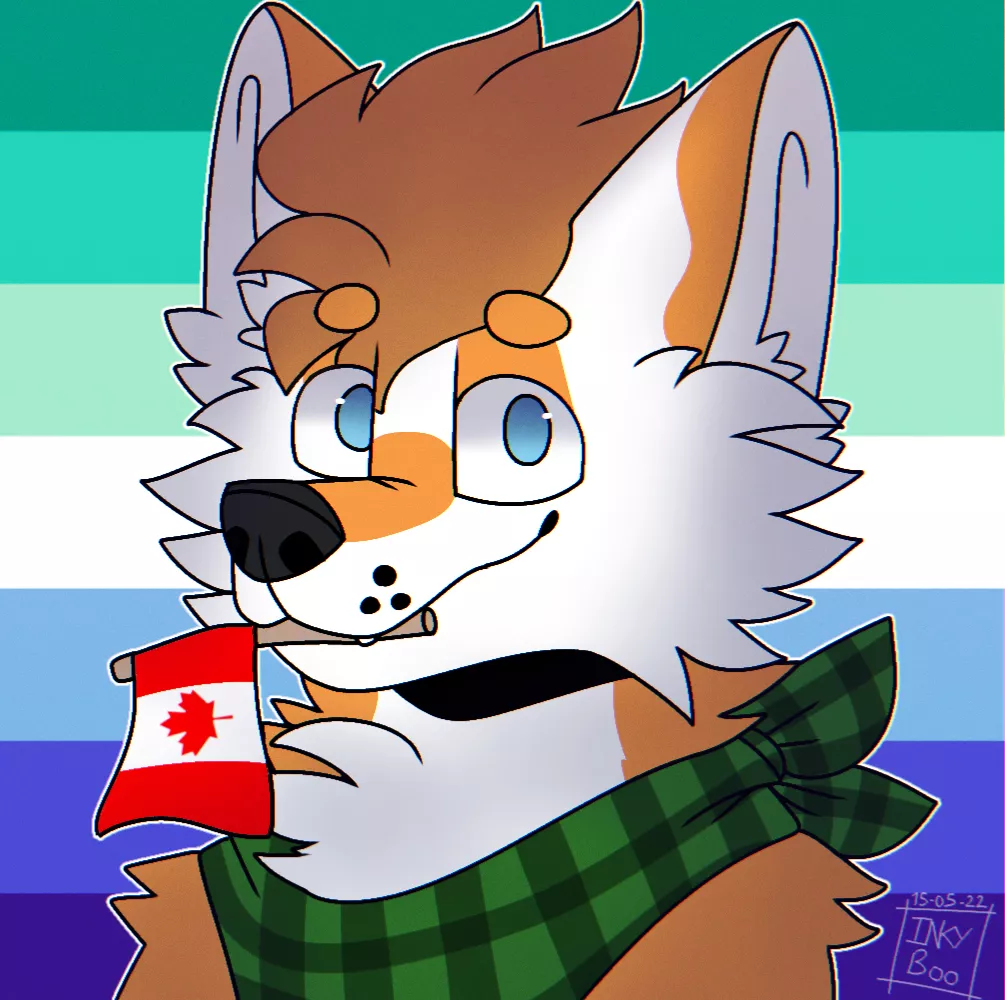 🏳️‍🌈 🇨🇦 Another finished icon commission for u/FloofyFolfy 🇨🇦 🏳️‍🌈 [Art by me] posted by CheesyLeft