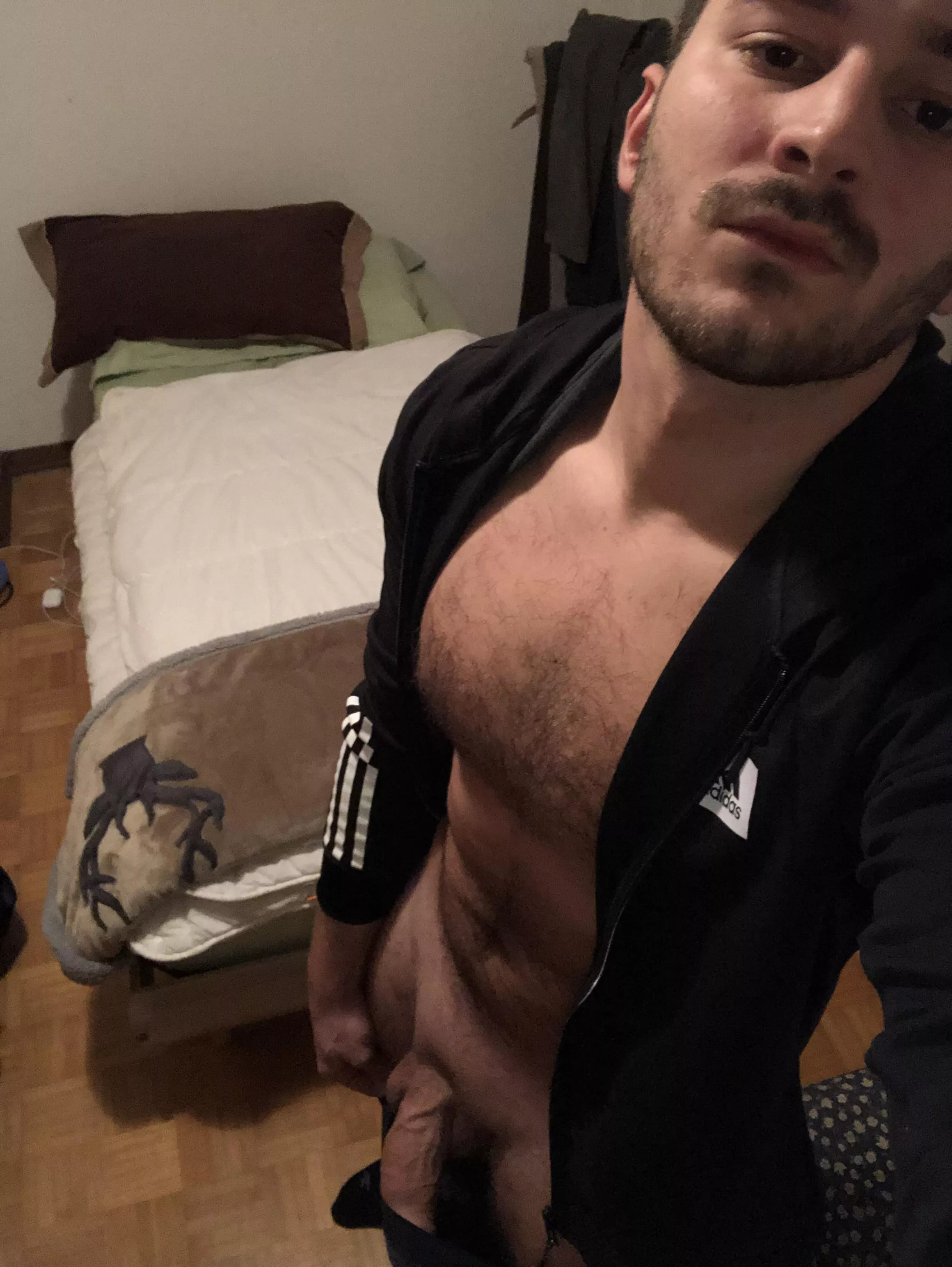 Any lovers of italian cock?! posted by Dooline9