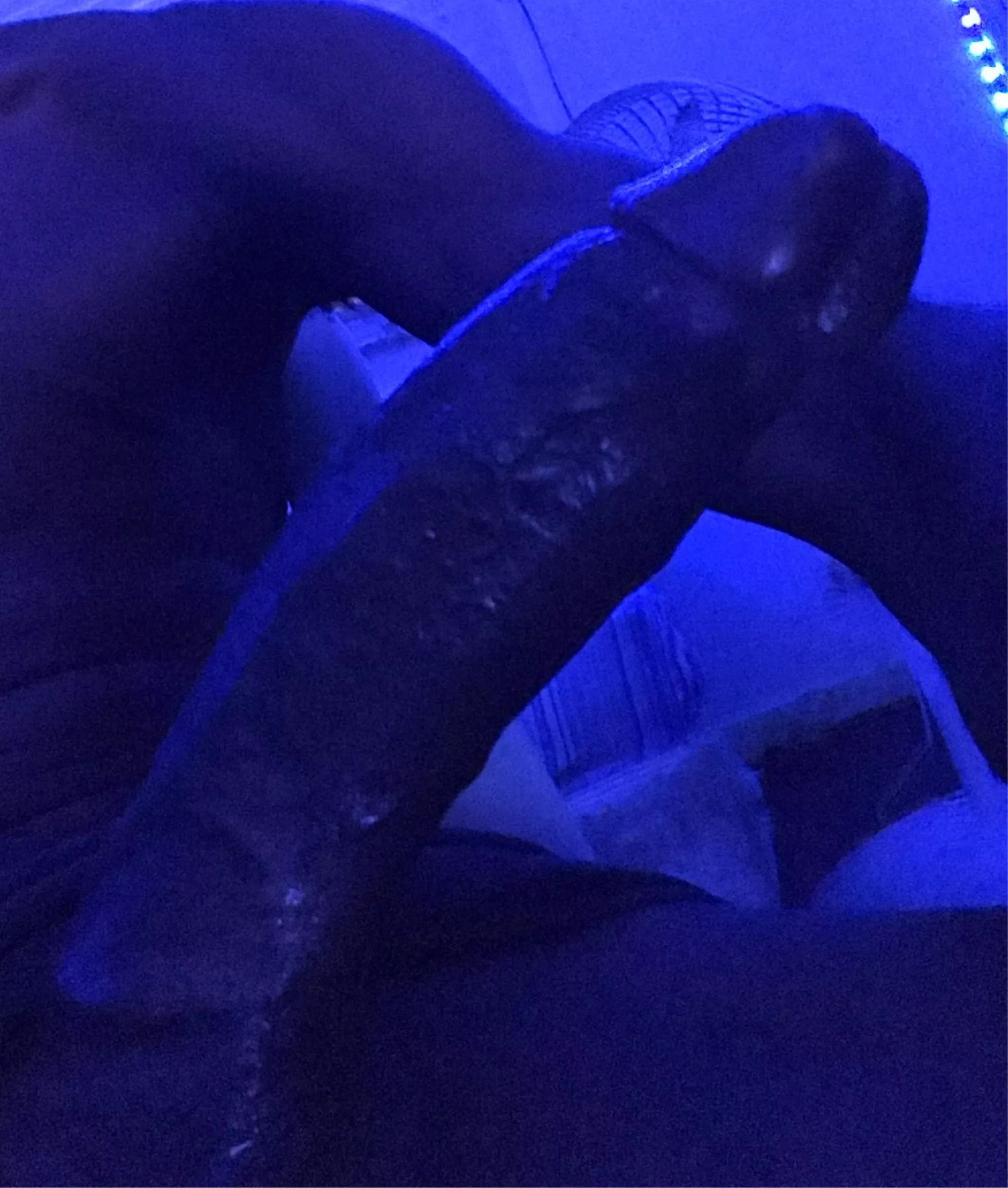 Any Nassau girls?ðŸ˜‹ looking for big dick posted by EntrepreneurSome1518