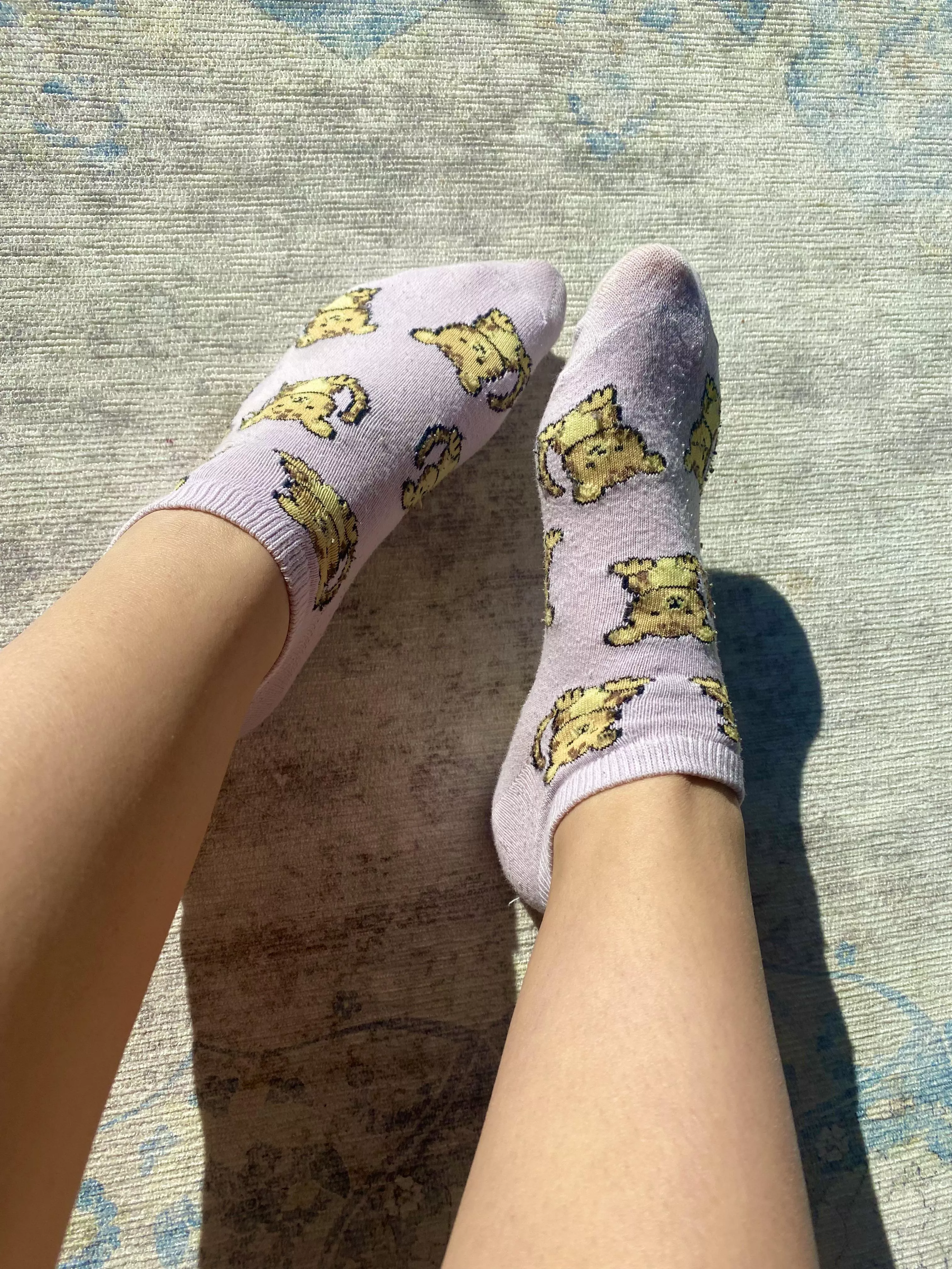 Aren’t these the cutest socks?! 🐯😊 posted by malena_th