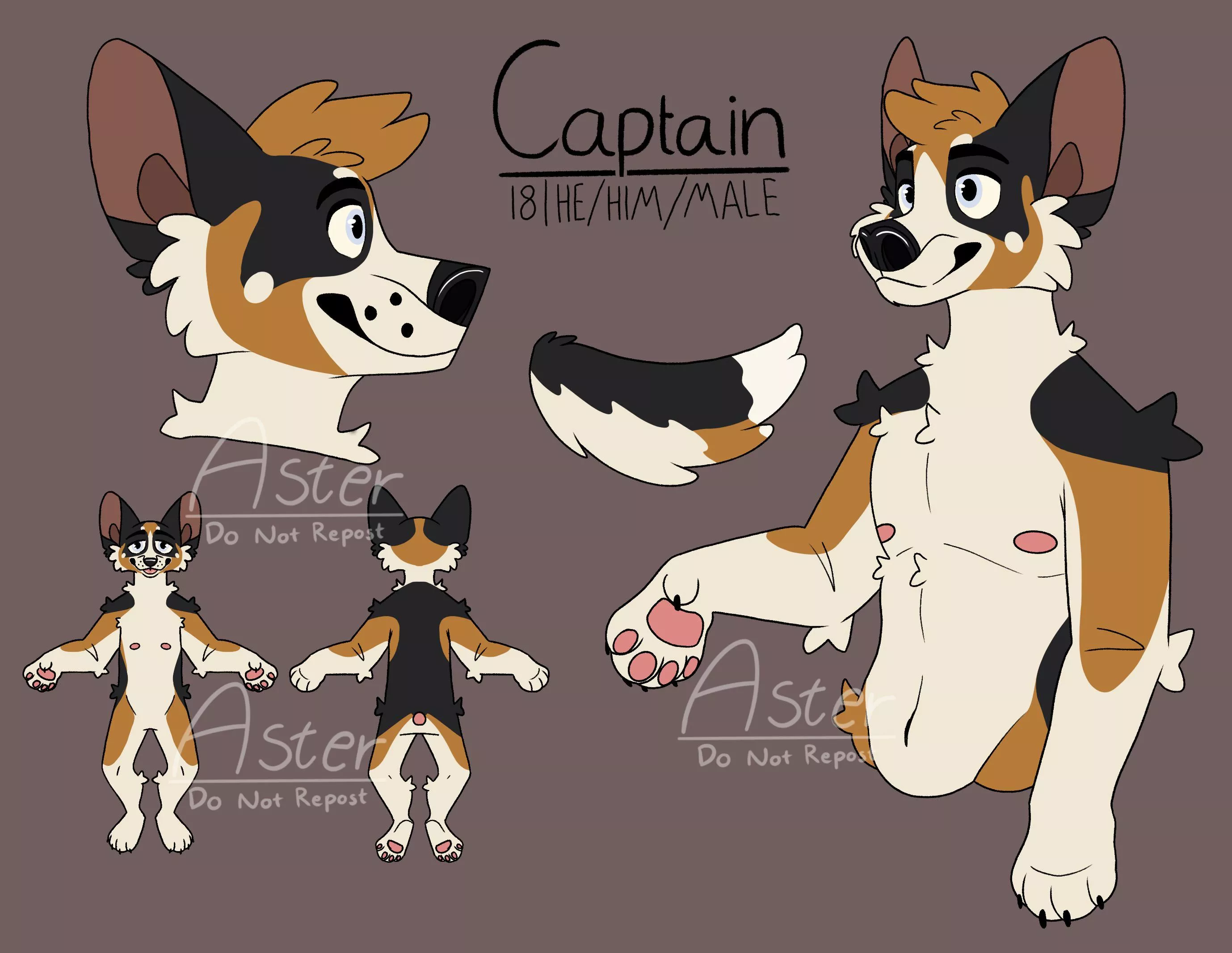 Captain has a new look! posted by Aster_Heeler