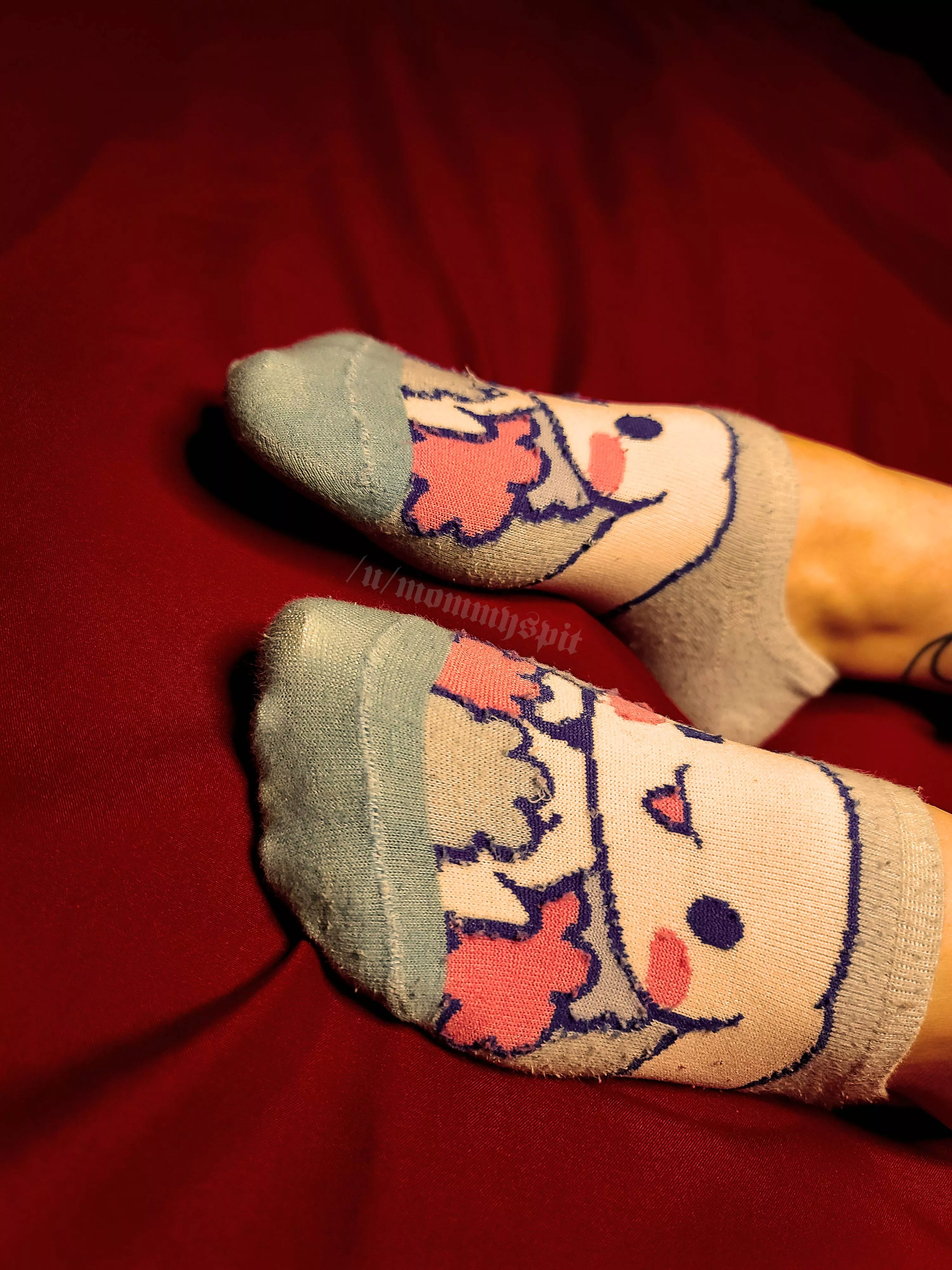 Cinnamoroll helps keep my toesies warm posted by mommyspit