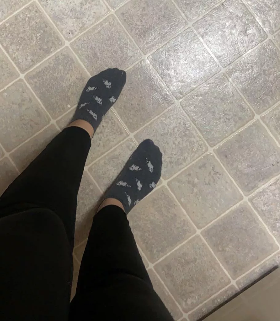 Cleaning my kitchen in my raccoon socks 😋 posted by lildandycandy