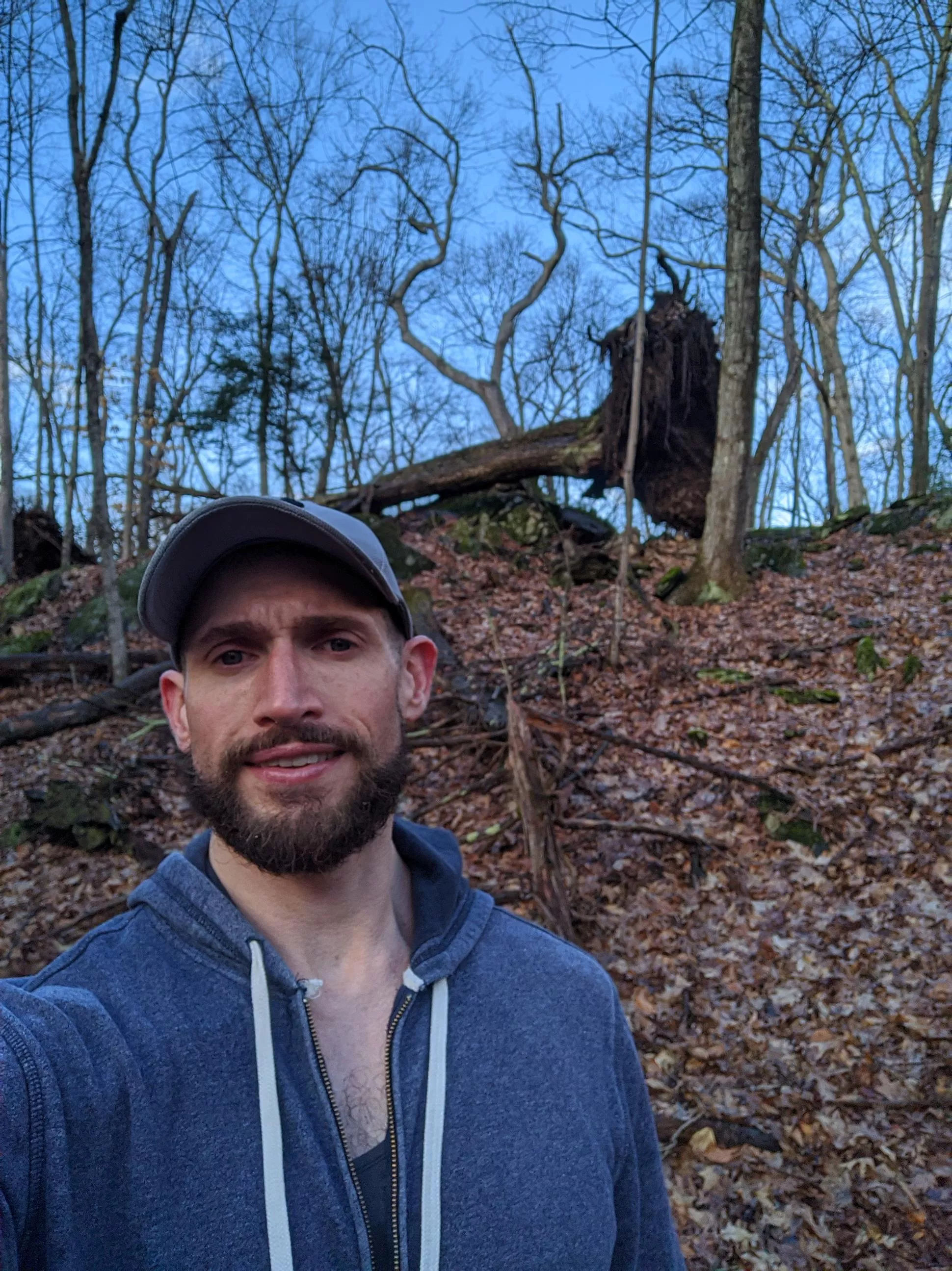 Cool trees at the end of this hike posted by collect3825