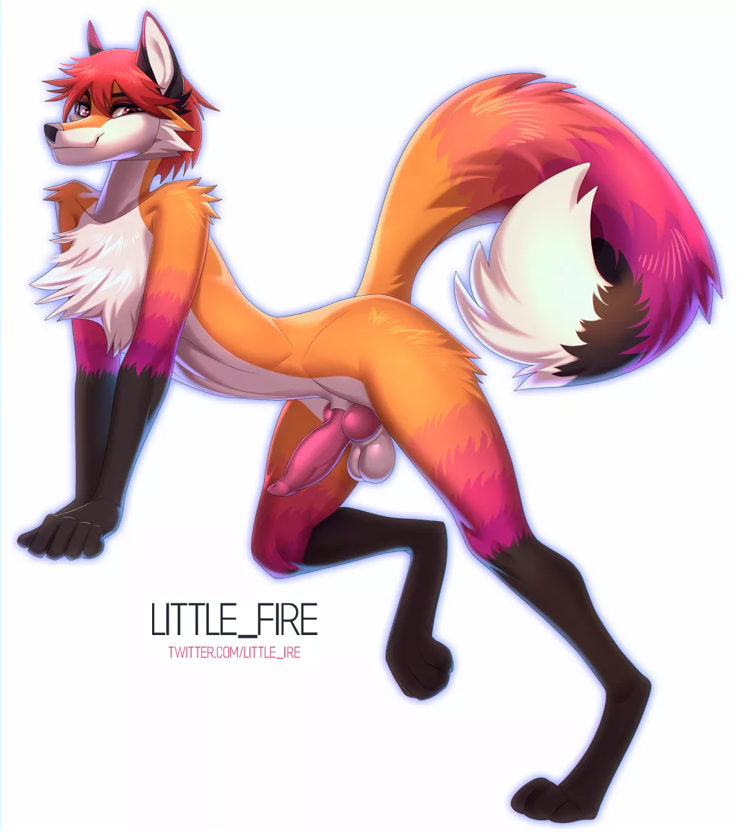 Cute Fox (littlefire) posted by DL2828