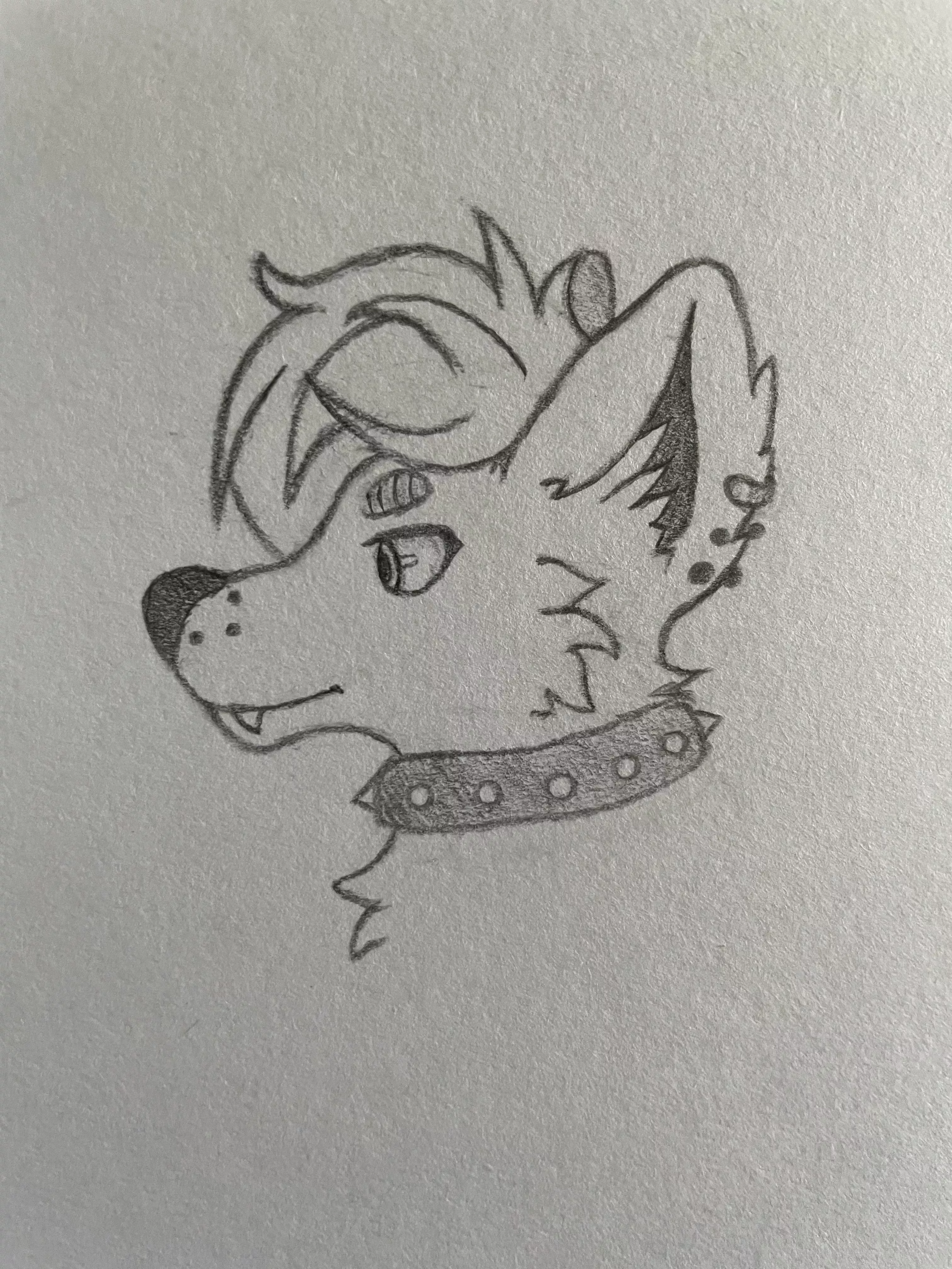 Did a lil doodle of my fursona, i think I’m finally set on the design. Not sure if i’ll keep the same colours (brown & cream) posted by Weebzee2005