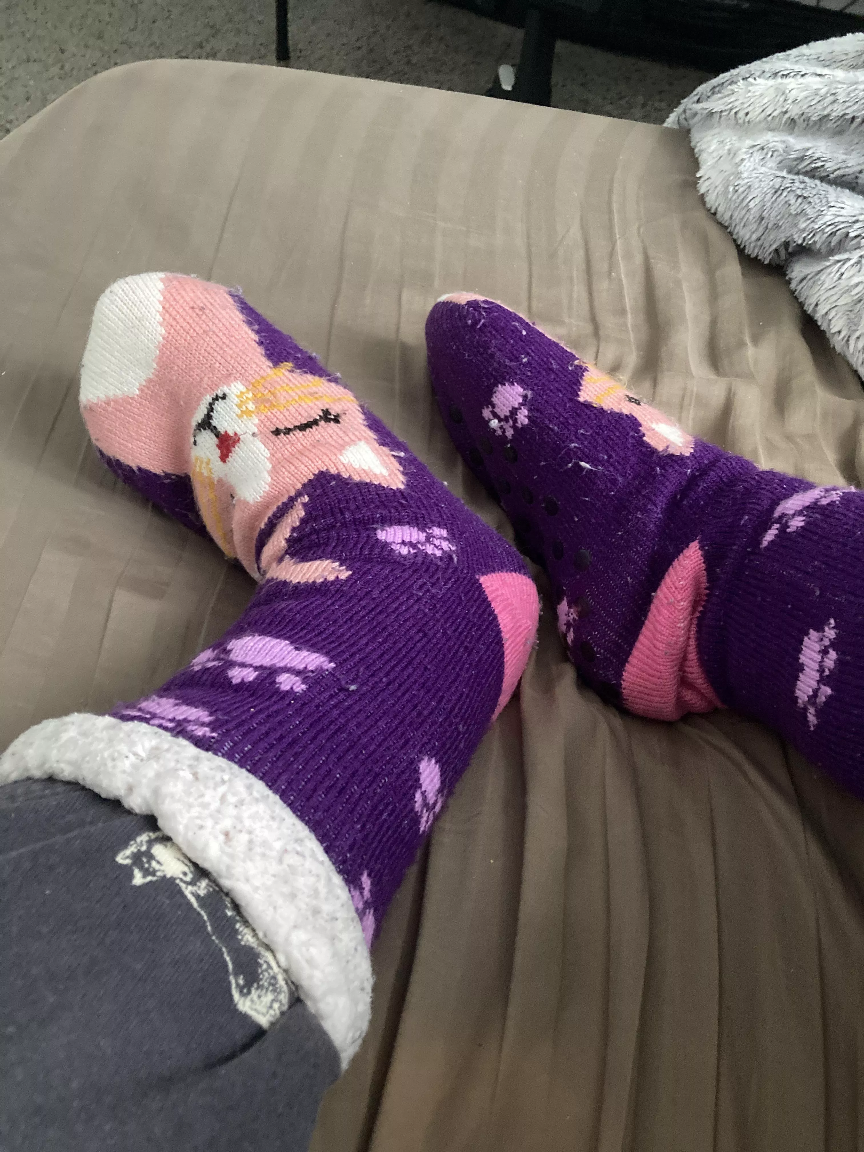 [?] do you like my cat sock? posted by Dgamer144