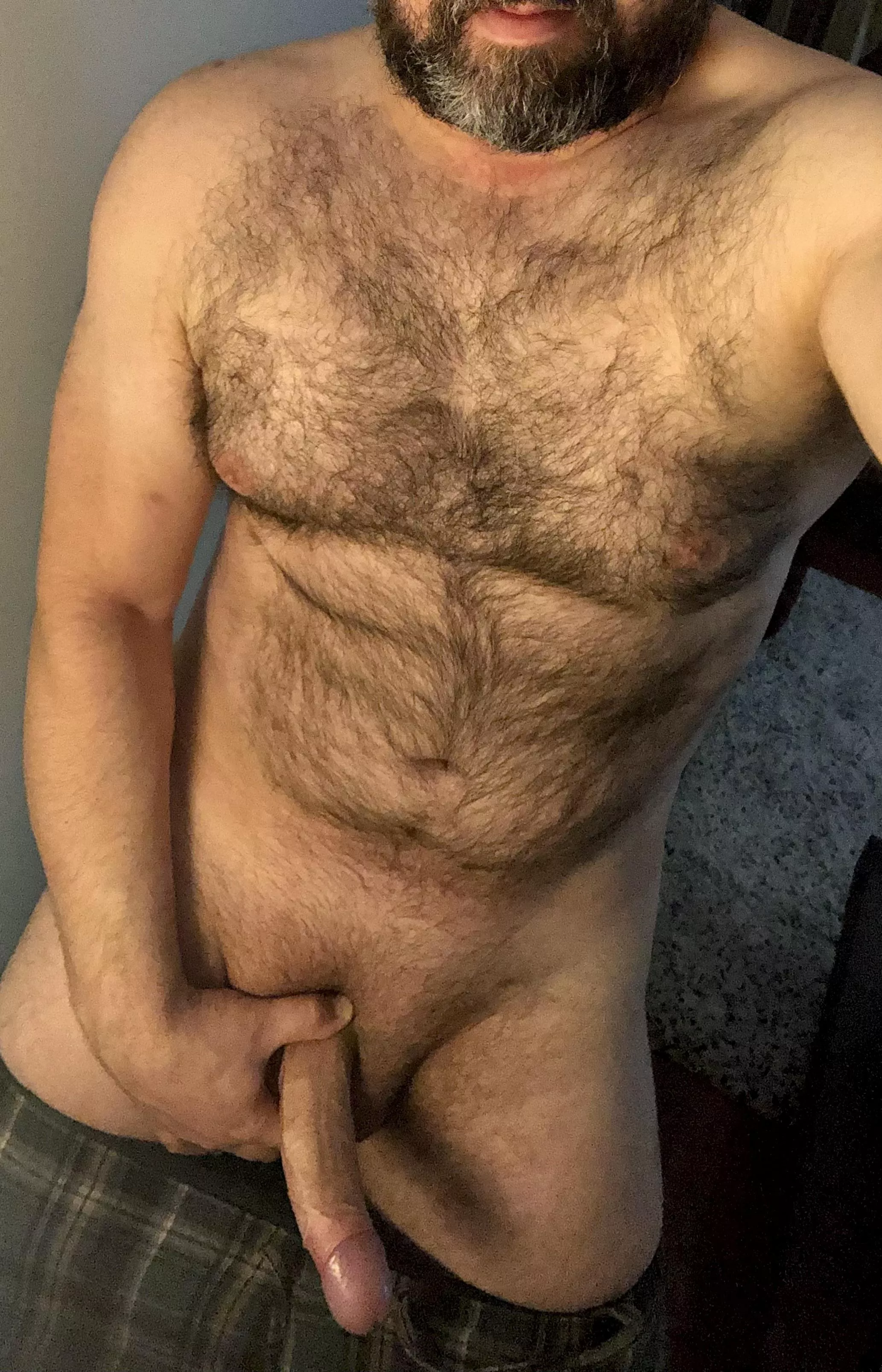 Do you like your Dads to be big and thick? With a soft furry chest and big hard dick? (41) posted by BigNorth80