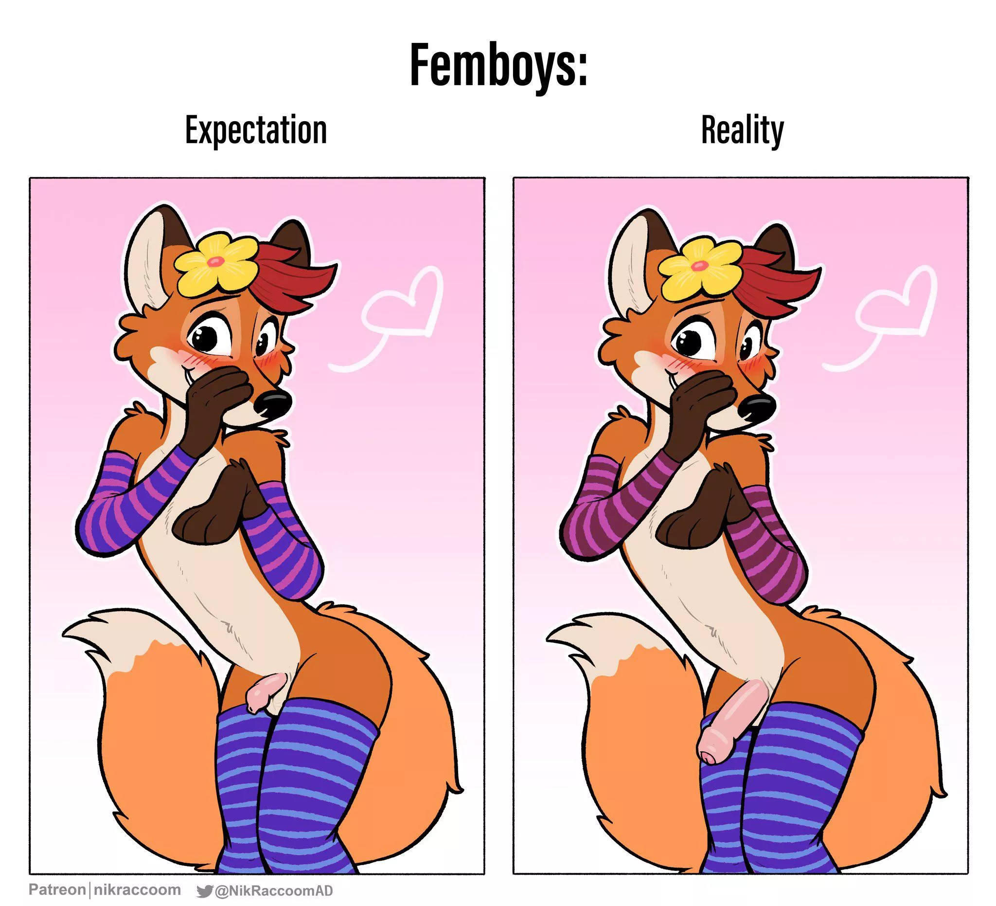 Expectation Vs. Reality (NikRaccoom) posted by weirdfox987