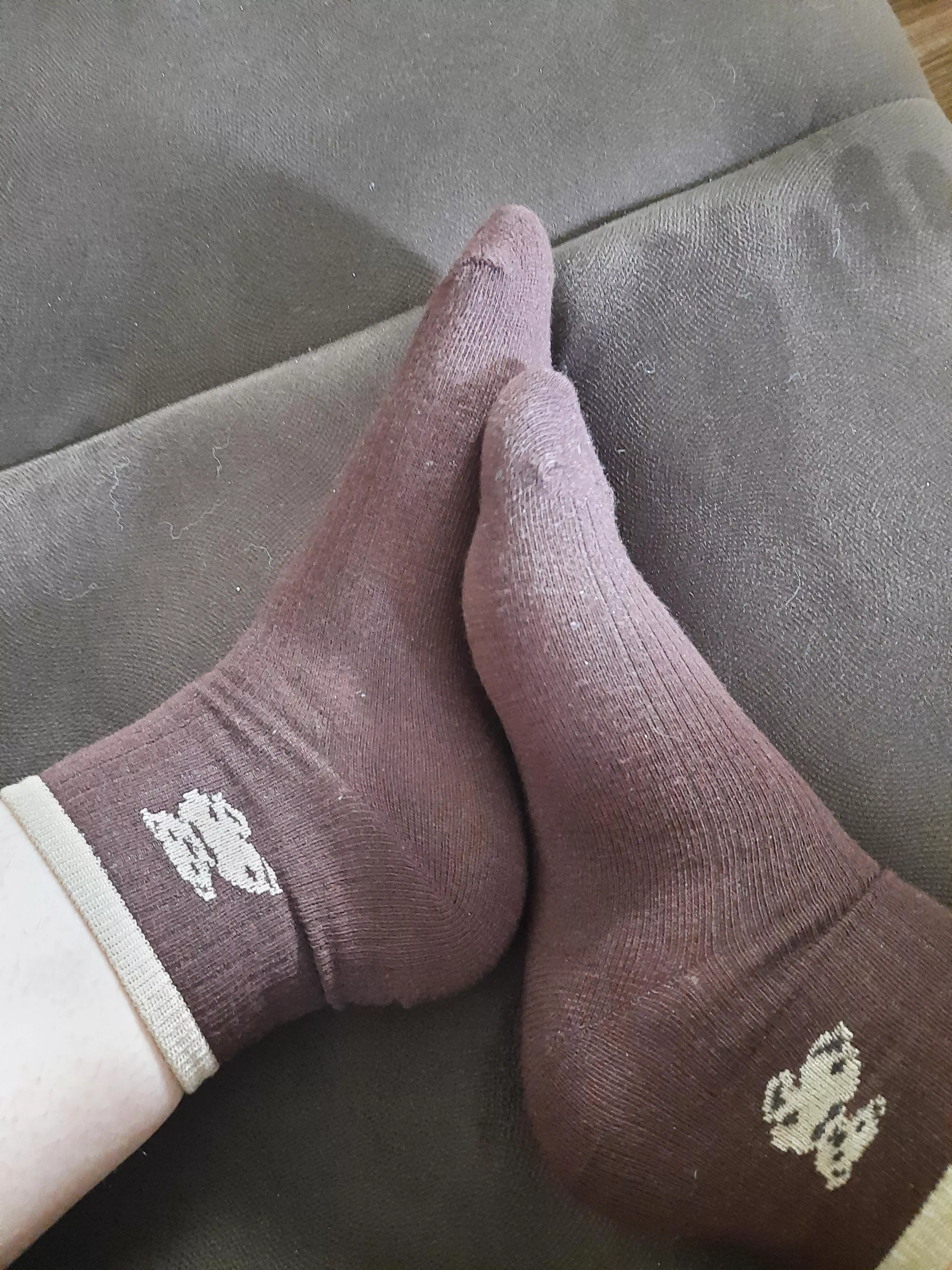 [Female] Cute new socks posted by feetprincess277