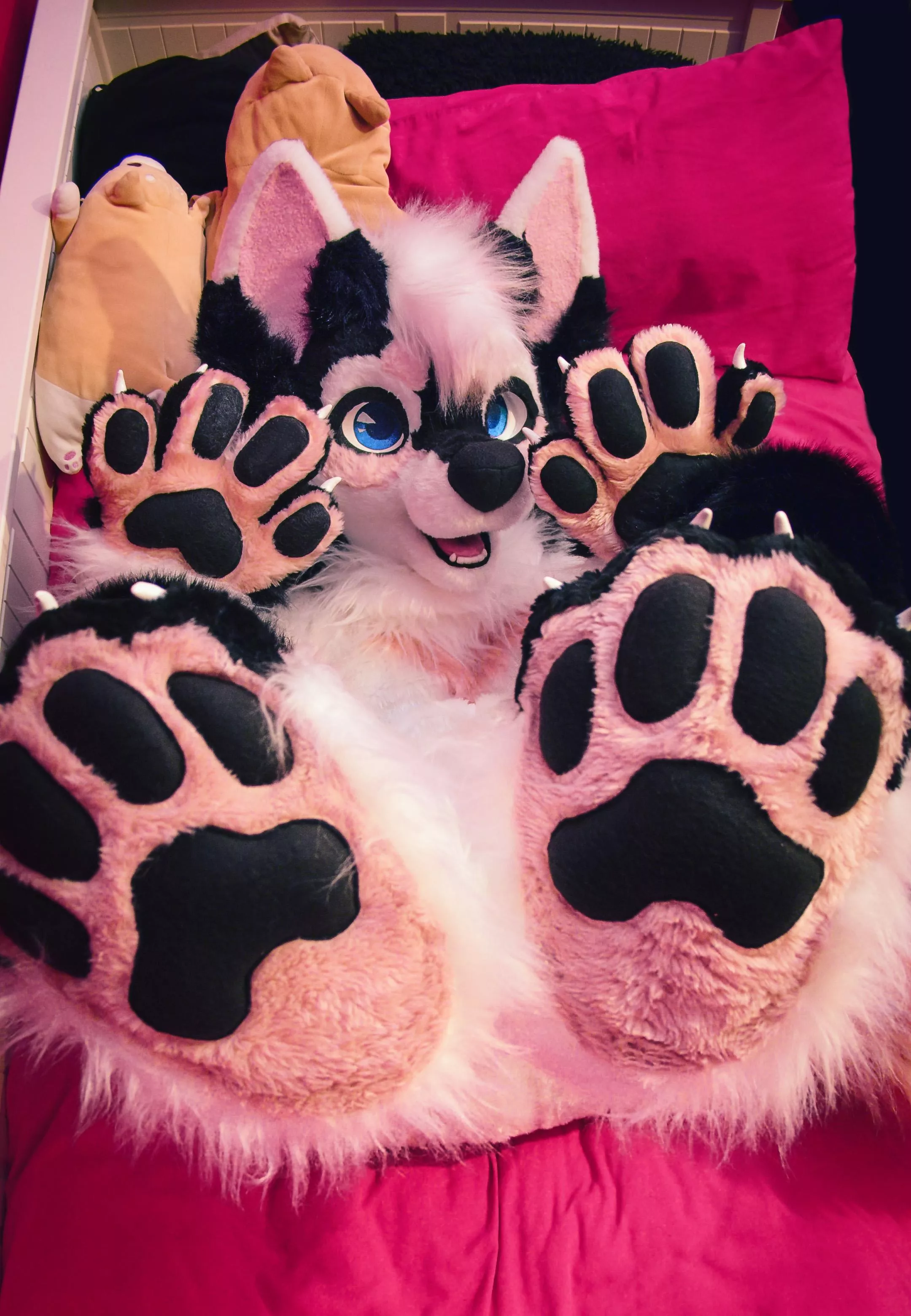 Finally got my fursuit. I have achieved BEANS posted by LogiPone