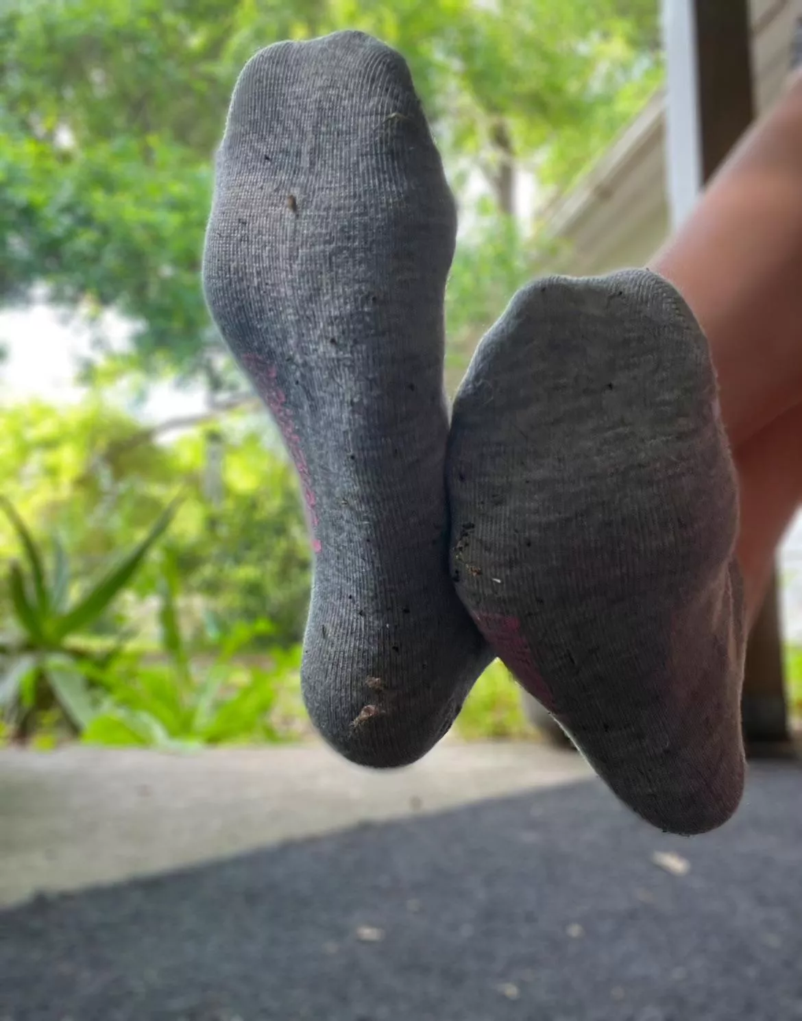 [F]un grey converse socks🧦🤍 posted by petitefeet64