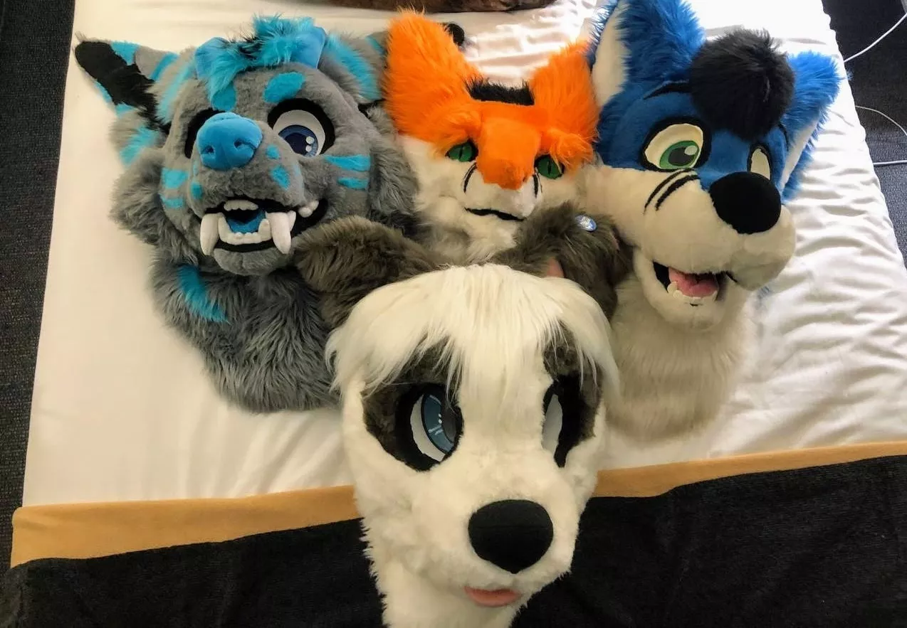 Furries furries furries! posted by Bigdogwoofy