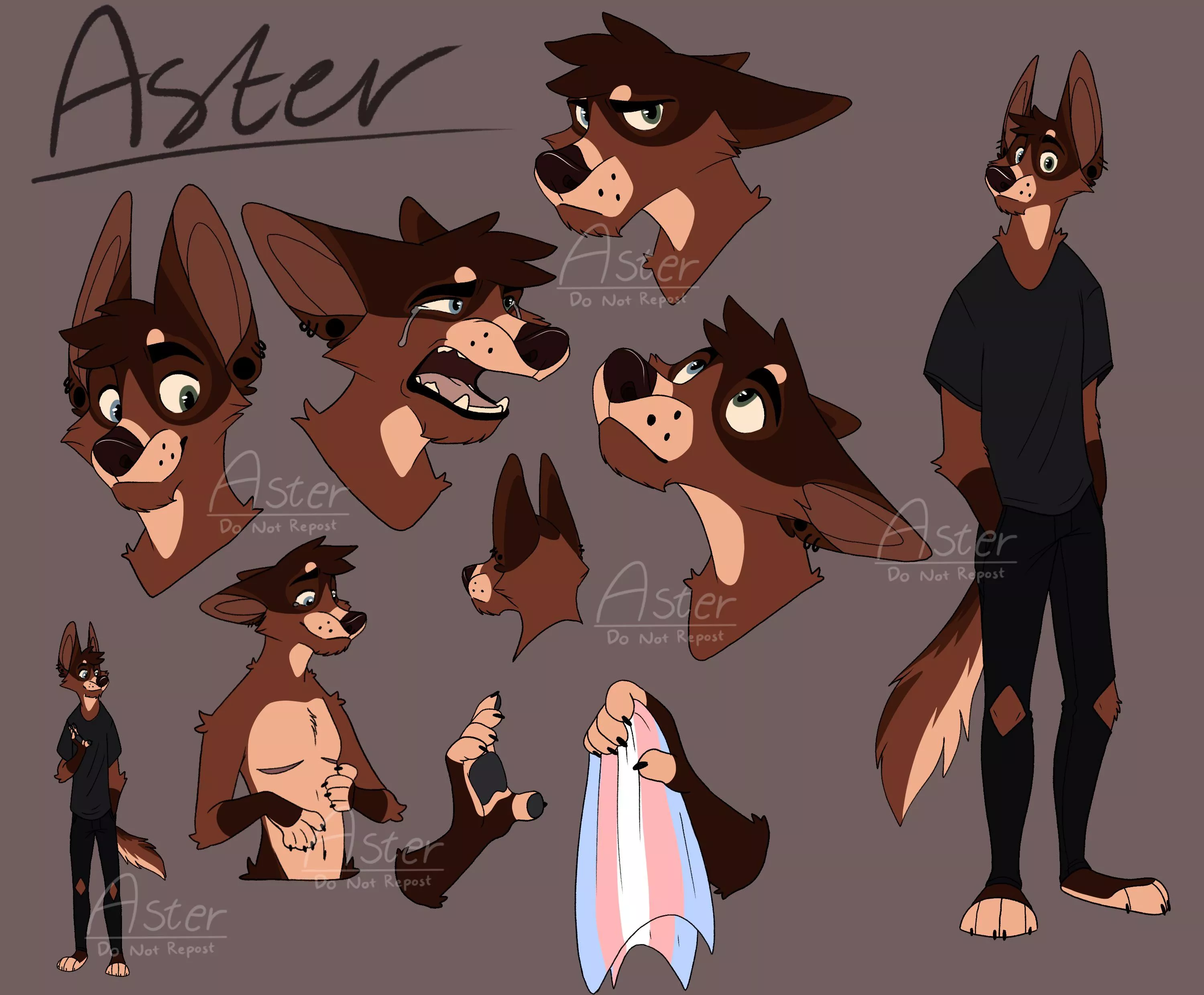 Giant drawing sheet of Aster!! posted by Aster_Heeler