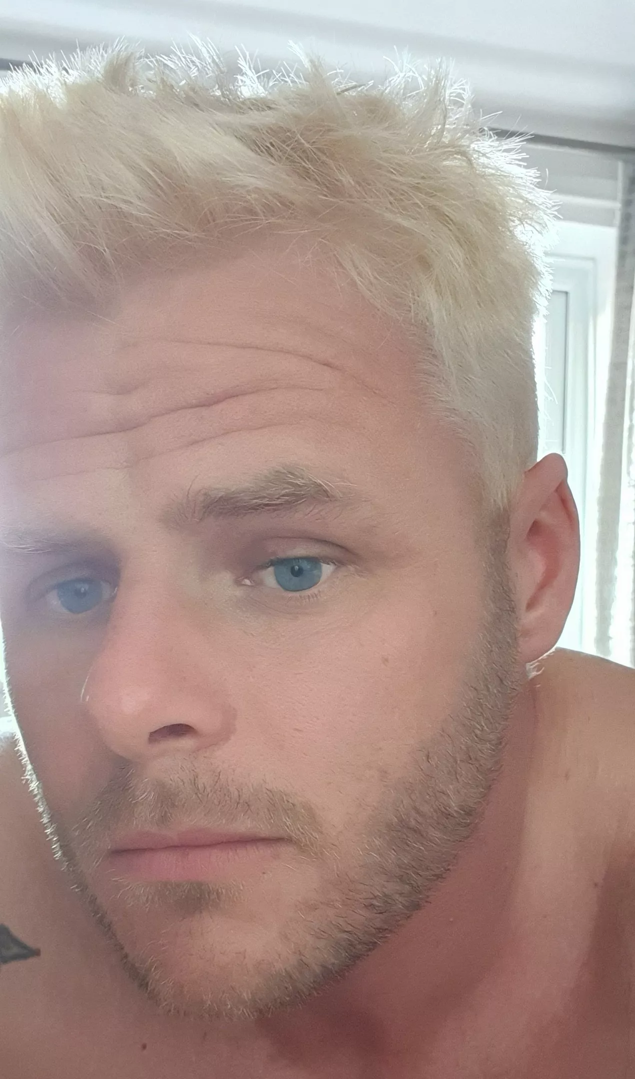 gone blonde 👱‍♂️ posted by falconfortress