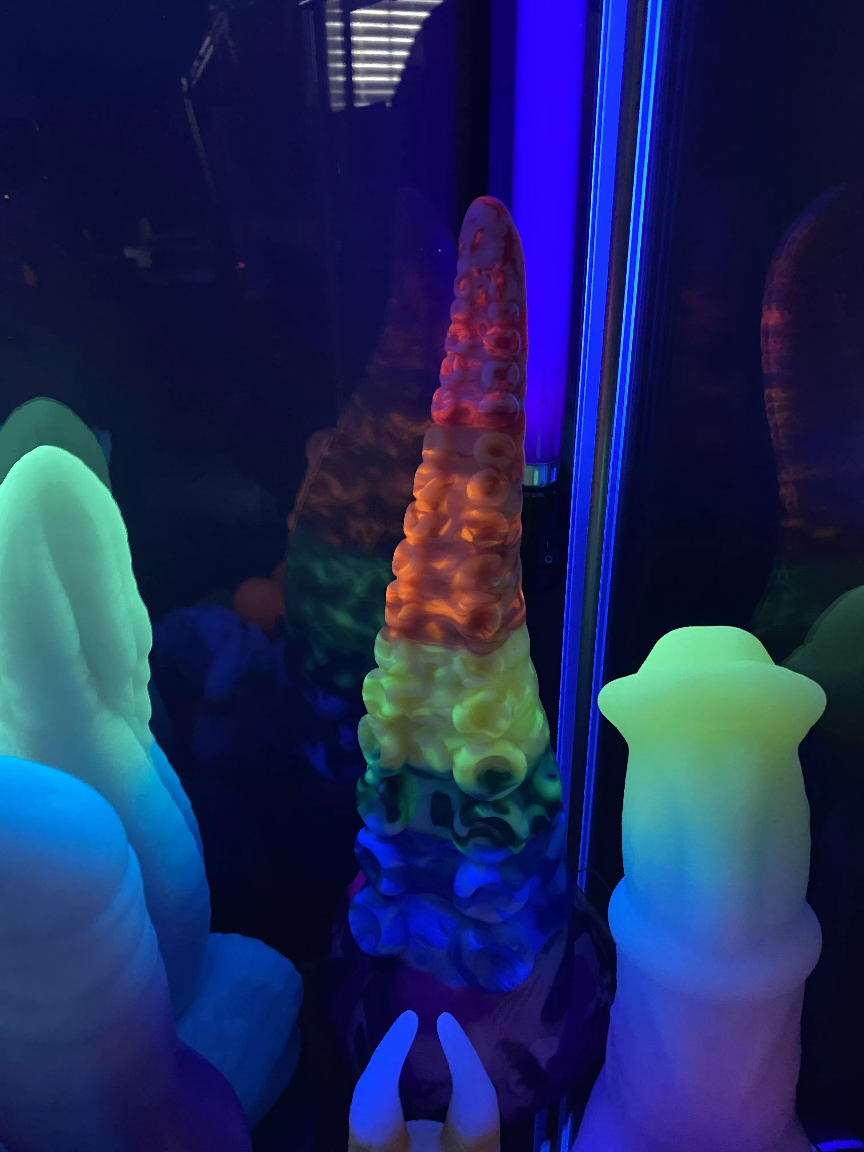 Gorgeous large Ika from the pride parfait drop - Ambient lighting be damned; the UV still looks nice and bright! posted by Rallythebeast