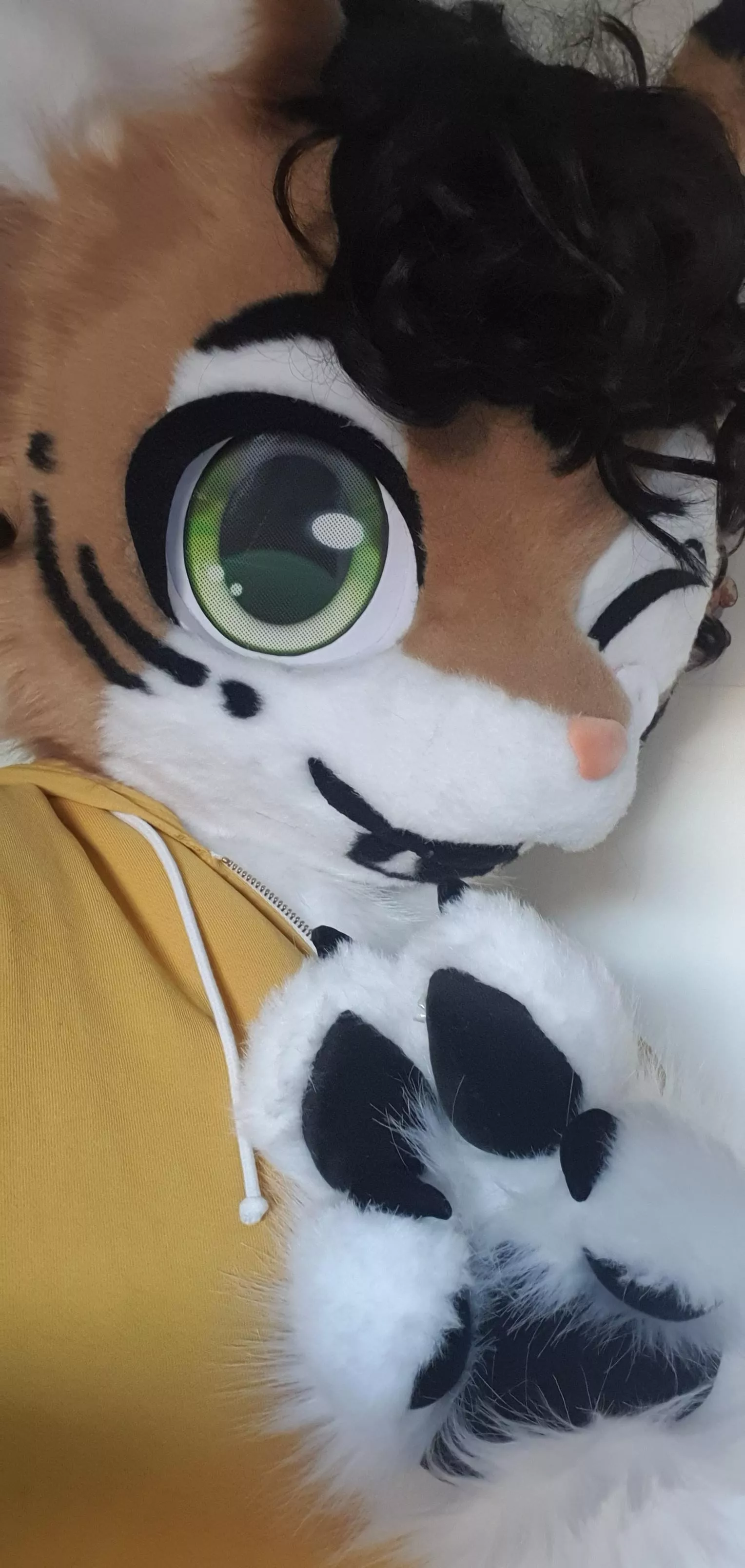 Happy fursuit friday! posted by Egyptian_Beauty