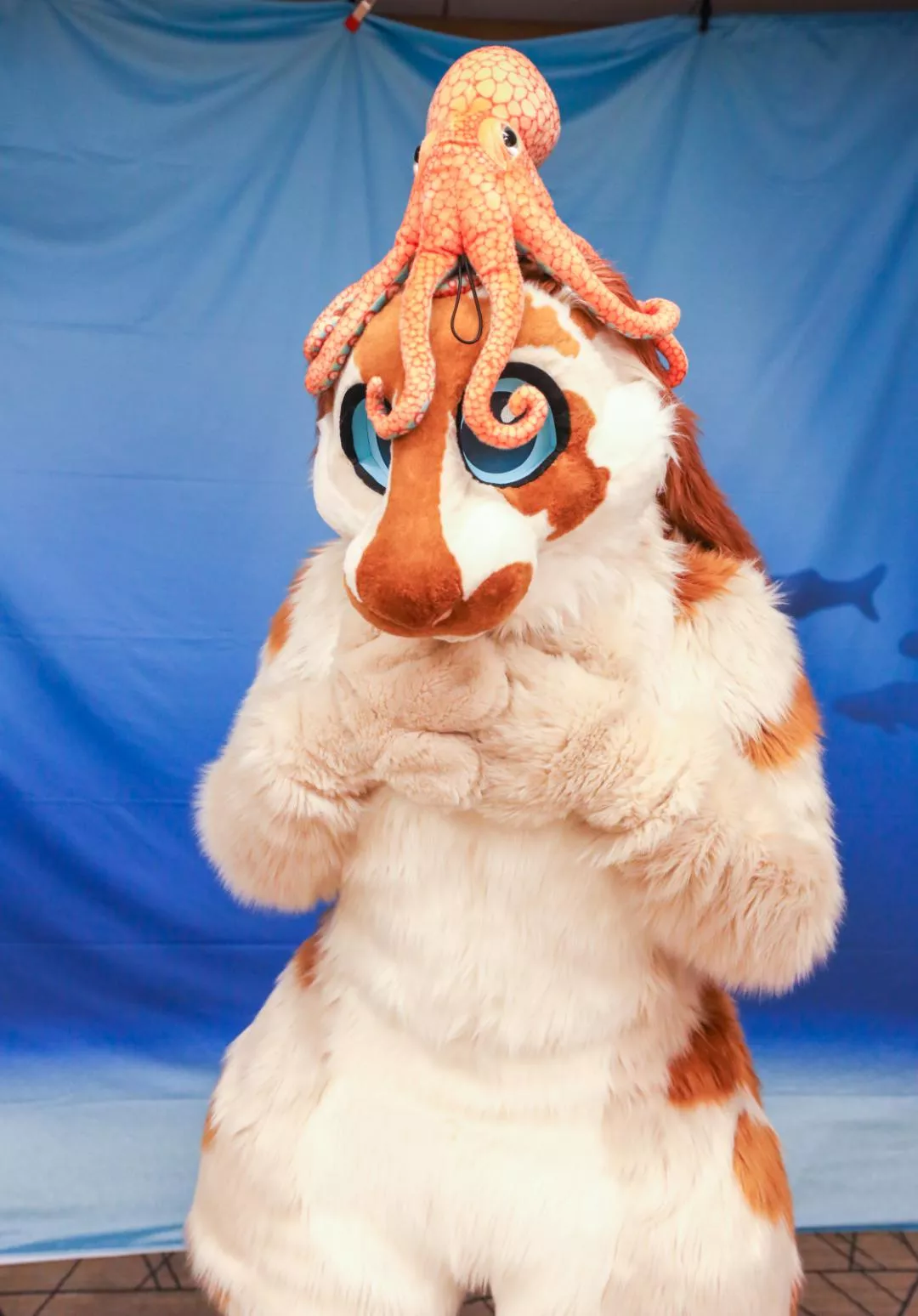 Happy Fursuit Friday! check out this octopus I found! posted by Zugzwang5