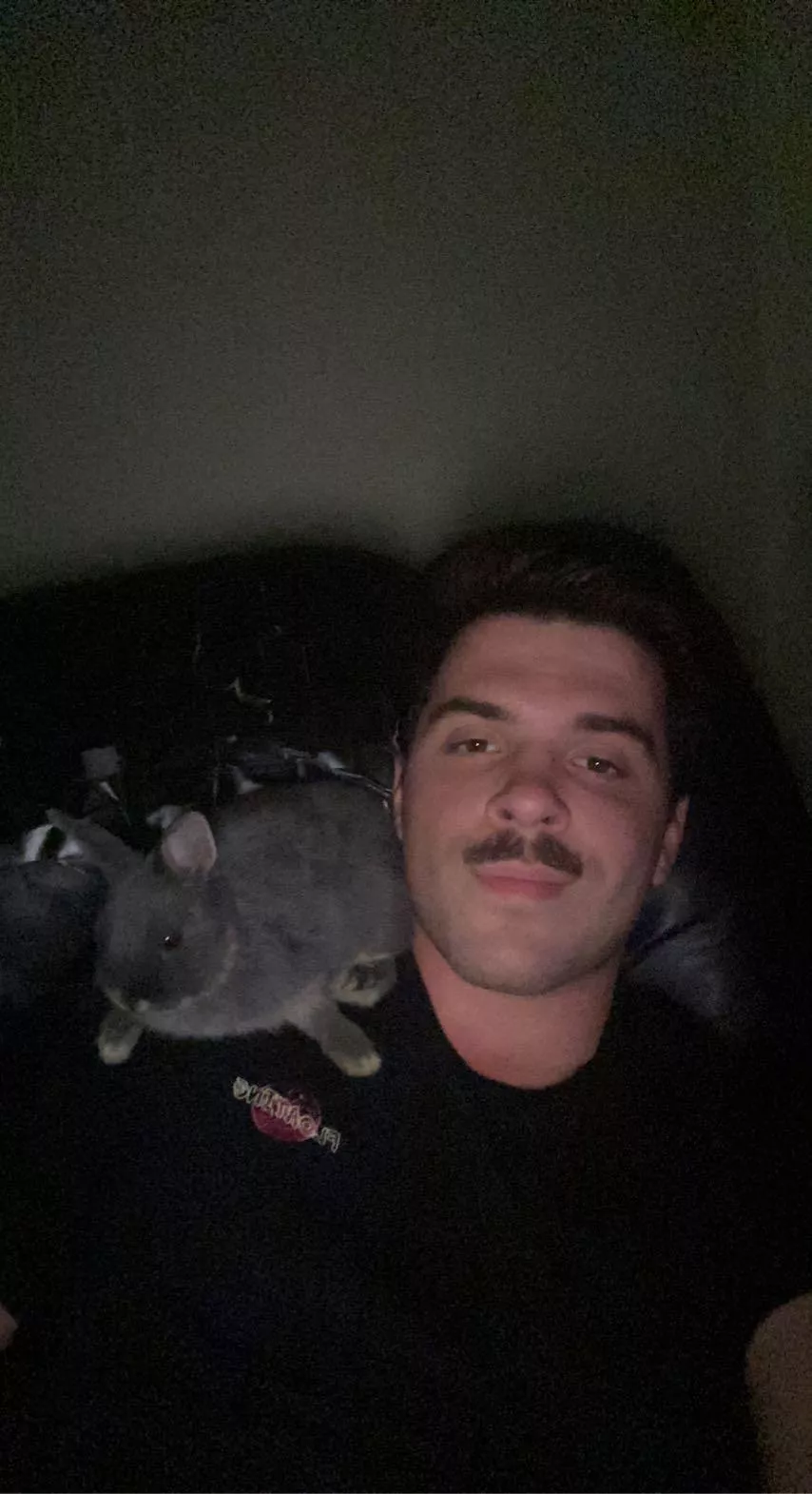 He loves just chillin on my shoulder posted by _tannerjd