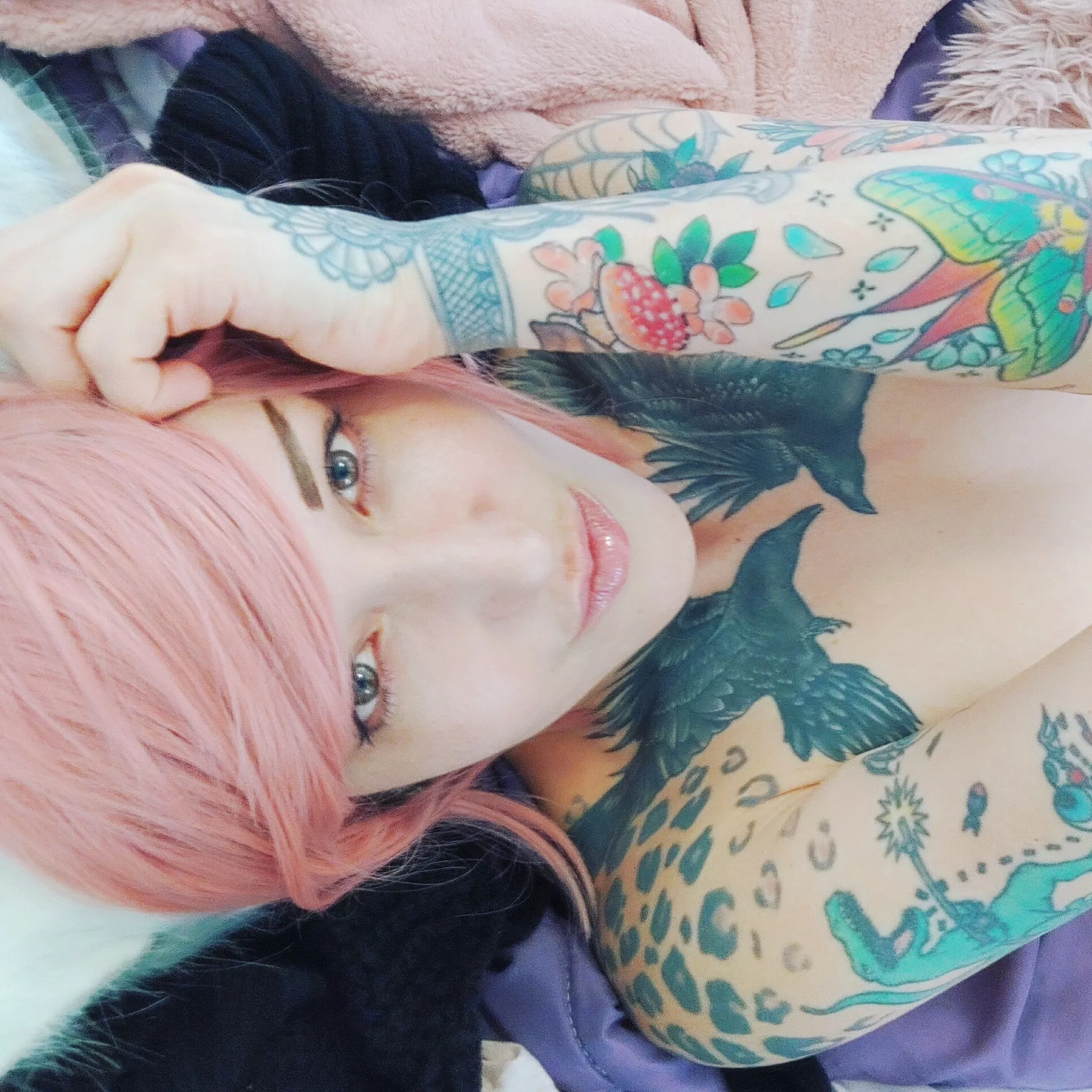 ðŸŒ¸ hiiii! ðŸŒ¸ Im new here! Cute cuddly tattooey kitten, lets be friends! posted by Haunted_vegan_cobra