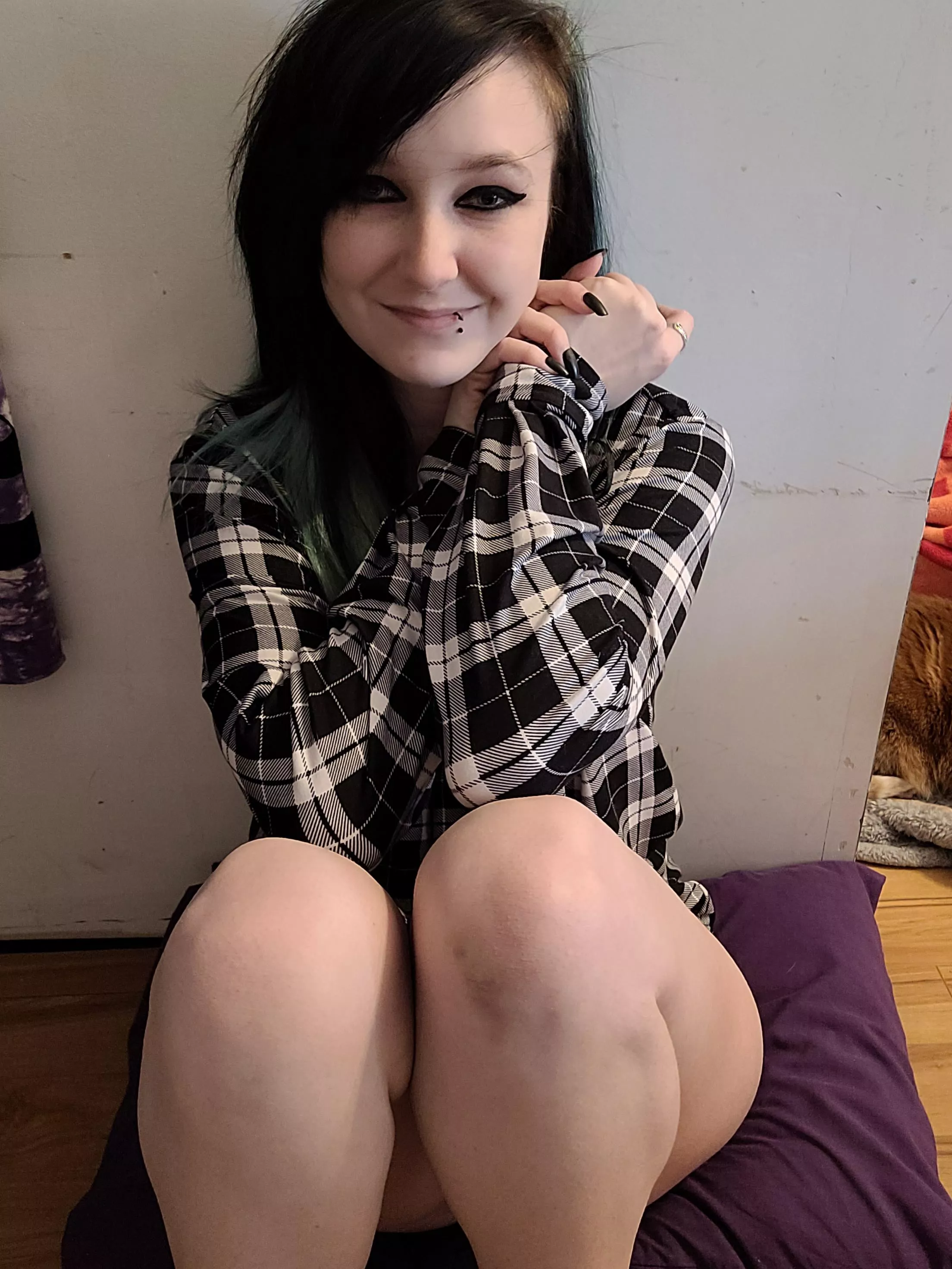 How do we feel about plaid? posted by Scorpioskorbunny