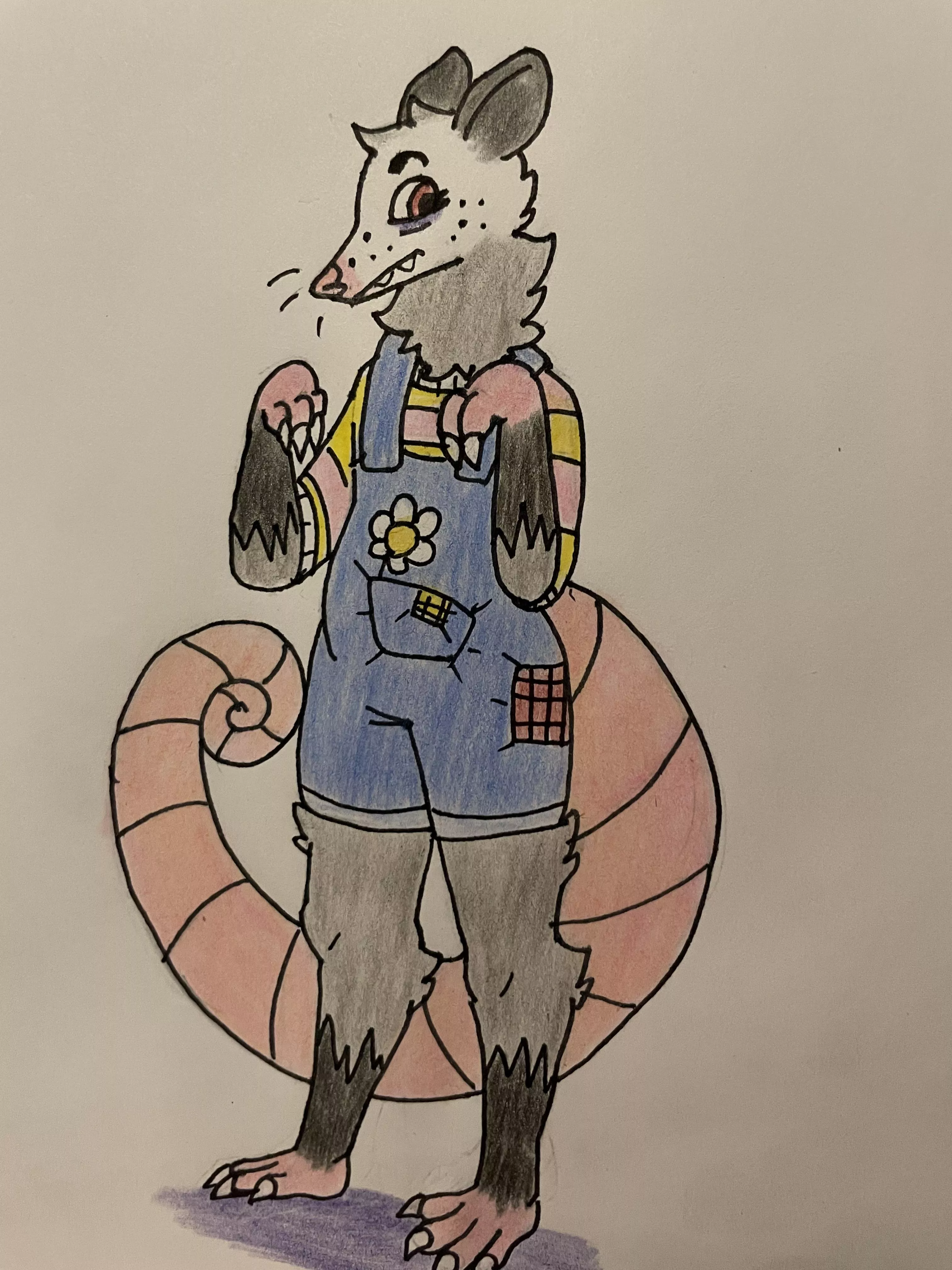 I drew a cute opossum boy! posted by DigiDork2001