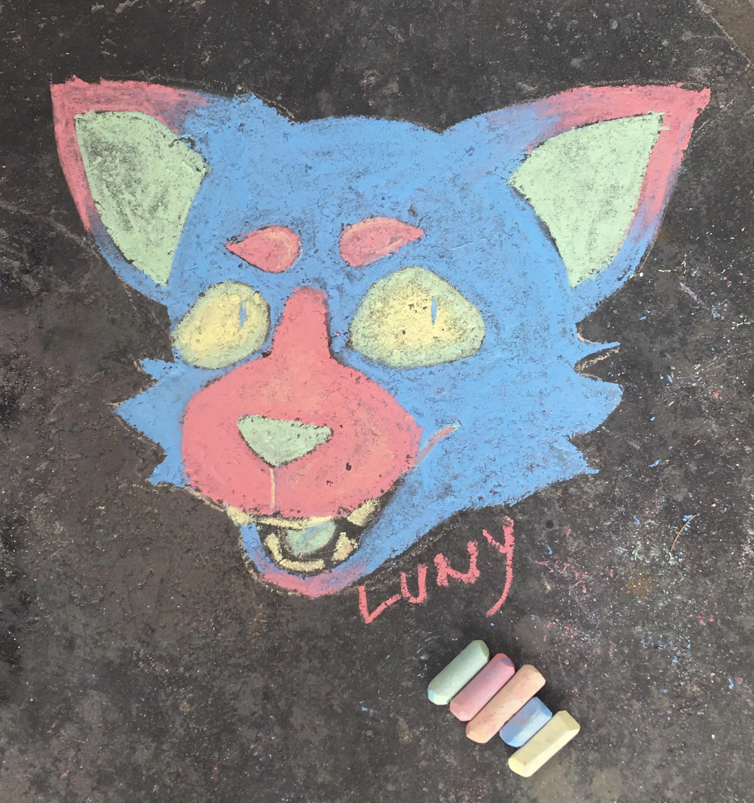 i was bored so i decided to mess around w some chalk :] its not the best but i only had 5 colors so whatever lol posted by err0r_cannot