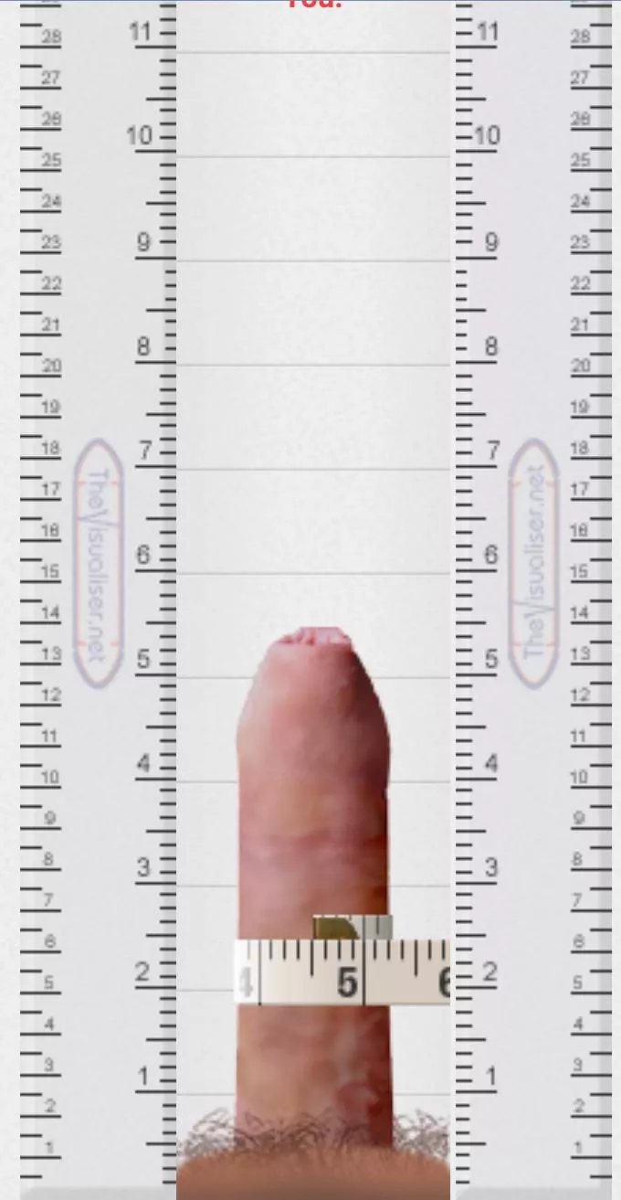 I'm using the visualiser to compare my cock with others. DM me your measurements, cut/uncut and skin colour so I can put them head to head posted by havemercynodrama94