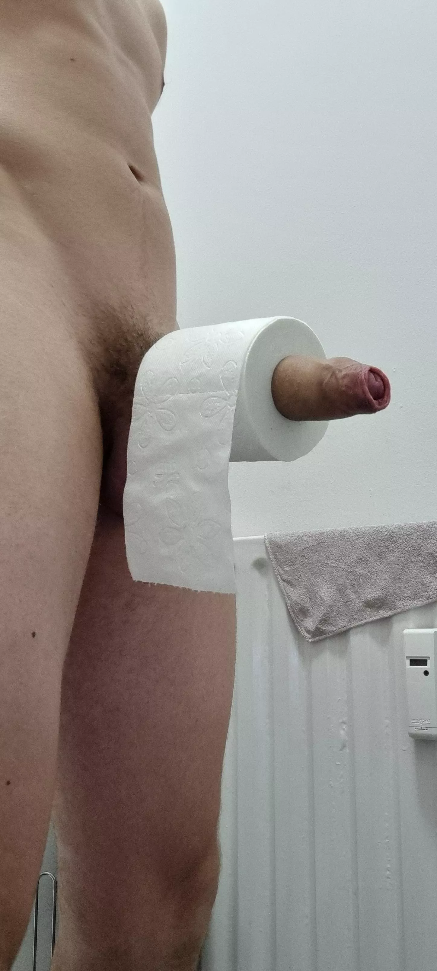 Is anyone looking for a thick uncut toilet paper holder? posted by Serious_Preparation3