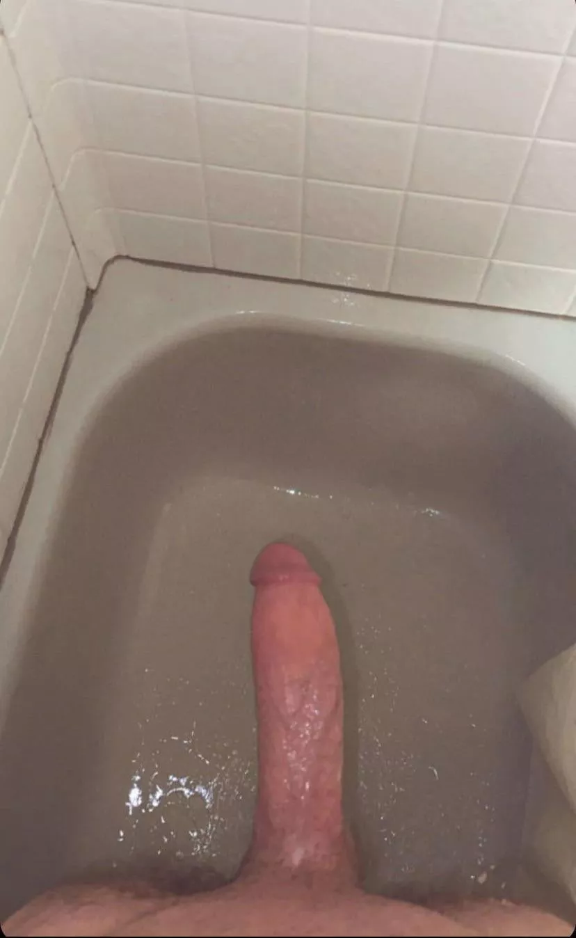 Is my cock fuckable? posted by dallas3535