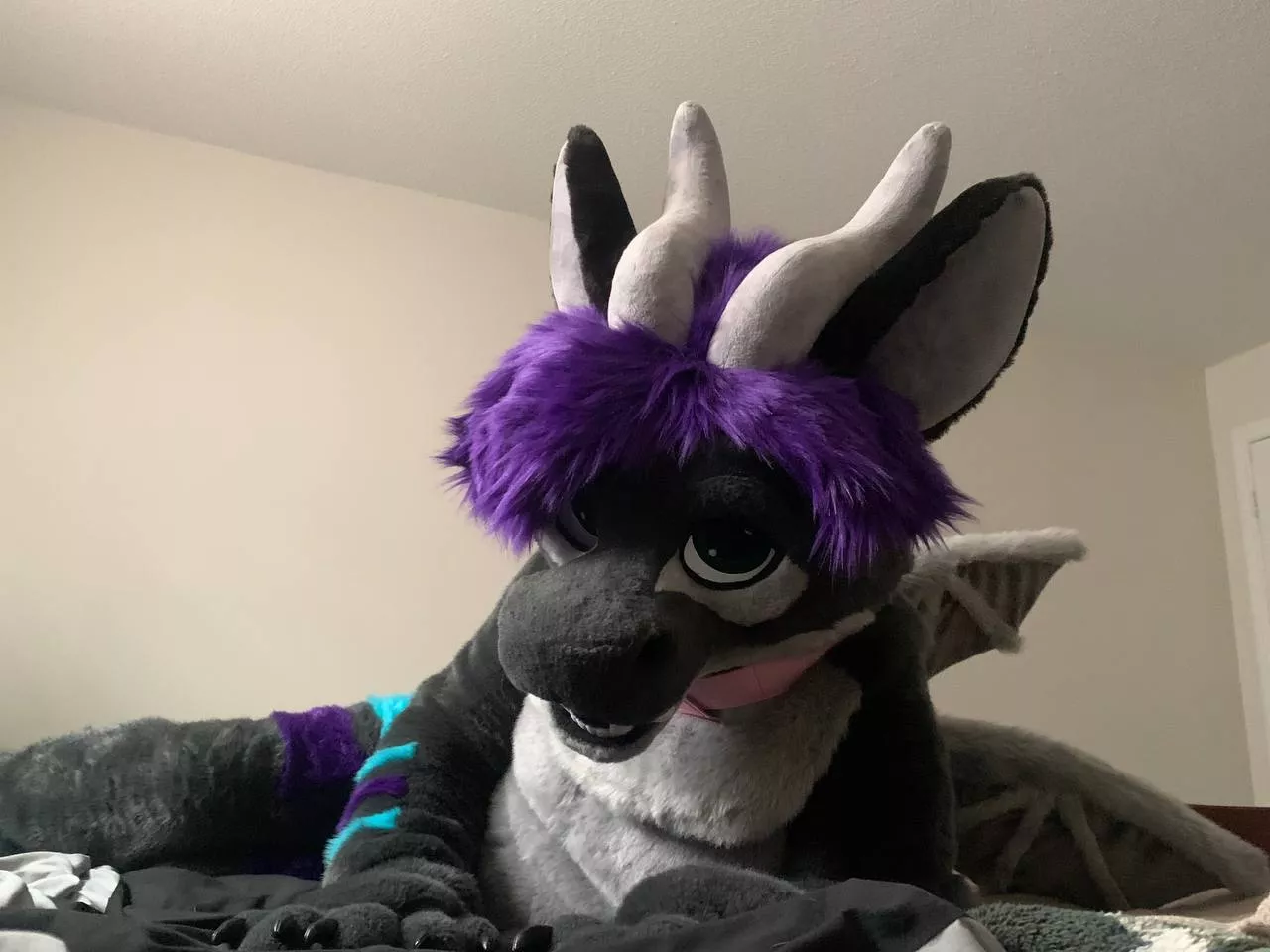 △ It's Friday again! Time for snugs. ^.=.^ posted by SerenDuskflare