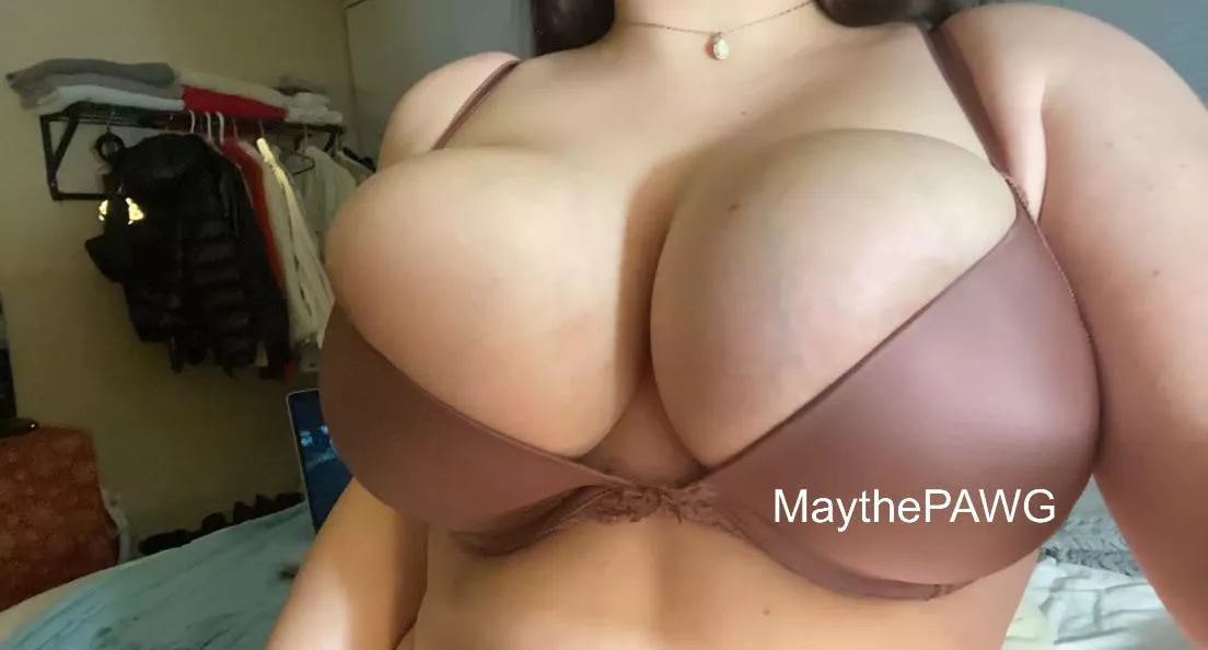 Iâ€™ve never had my Tits fucked would you like to be the first? posted by MaythePAWG