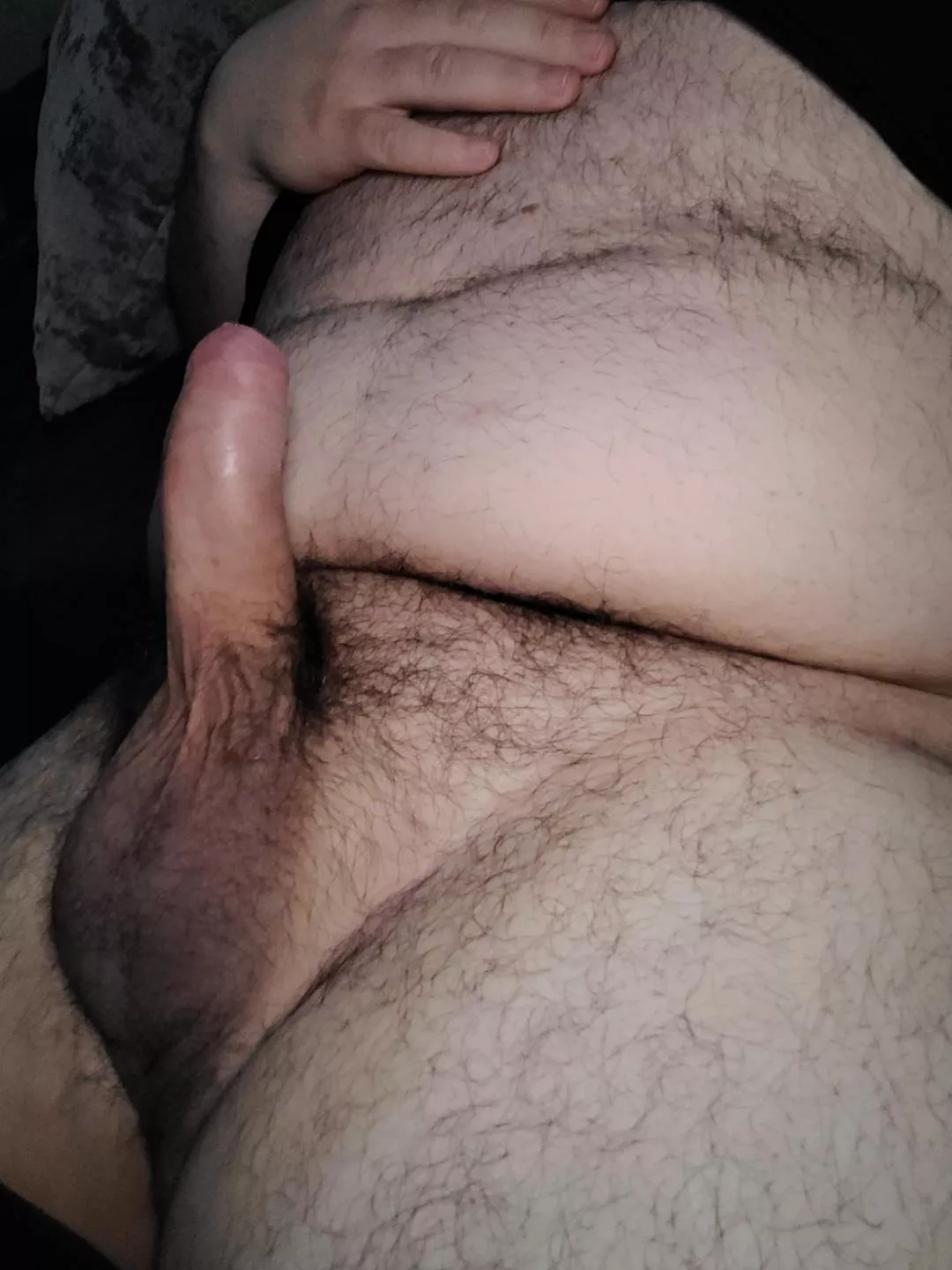 just a hairy bull, DM to compare posted by NiceCockroach9898