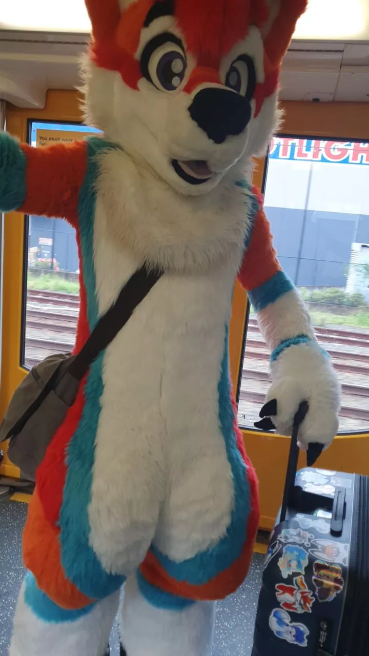 Just the usual commute u/furrycoatrack posted by CruiseTheDingo