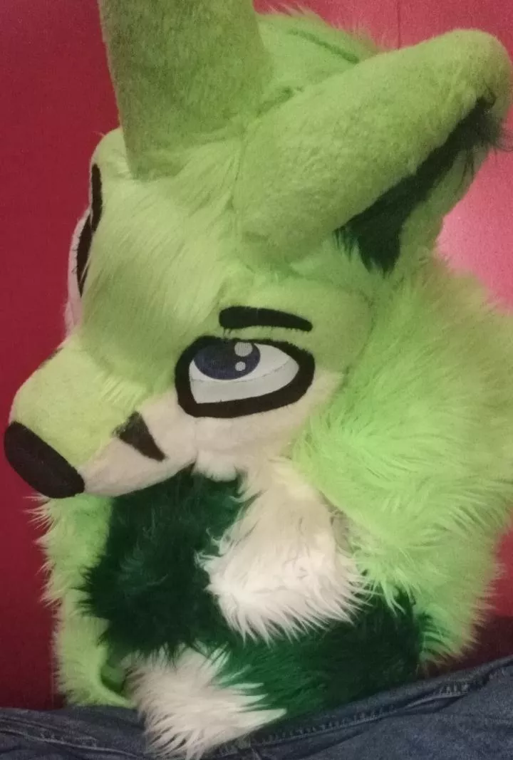 Last fursuit Friday photo, as I have made the decision to leave the furry fandom. (Fursuit Friday 4/1/22) posted by Supremedalekaustin1