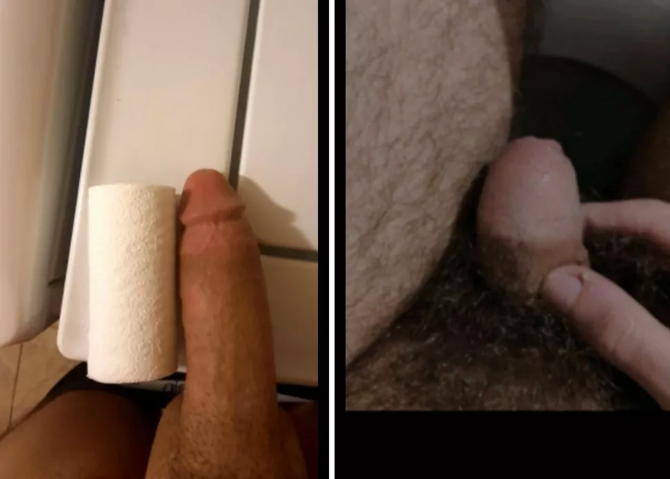 Lowjjlow's 8 inches Bull Cock (L) vs SmallDickEnergy007's Sissy clit. (R) posted by Smalldickenergy007