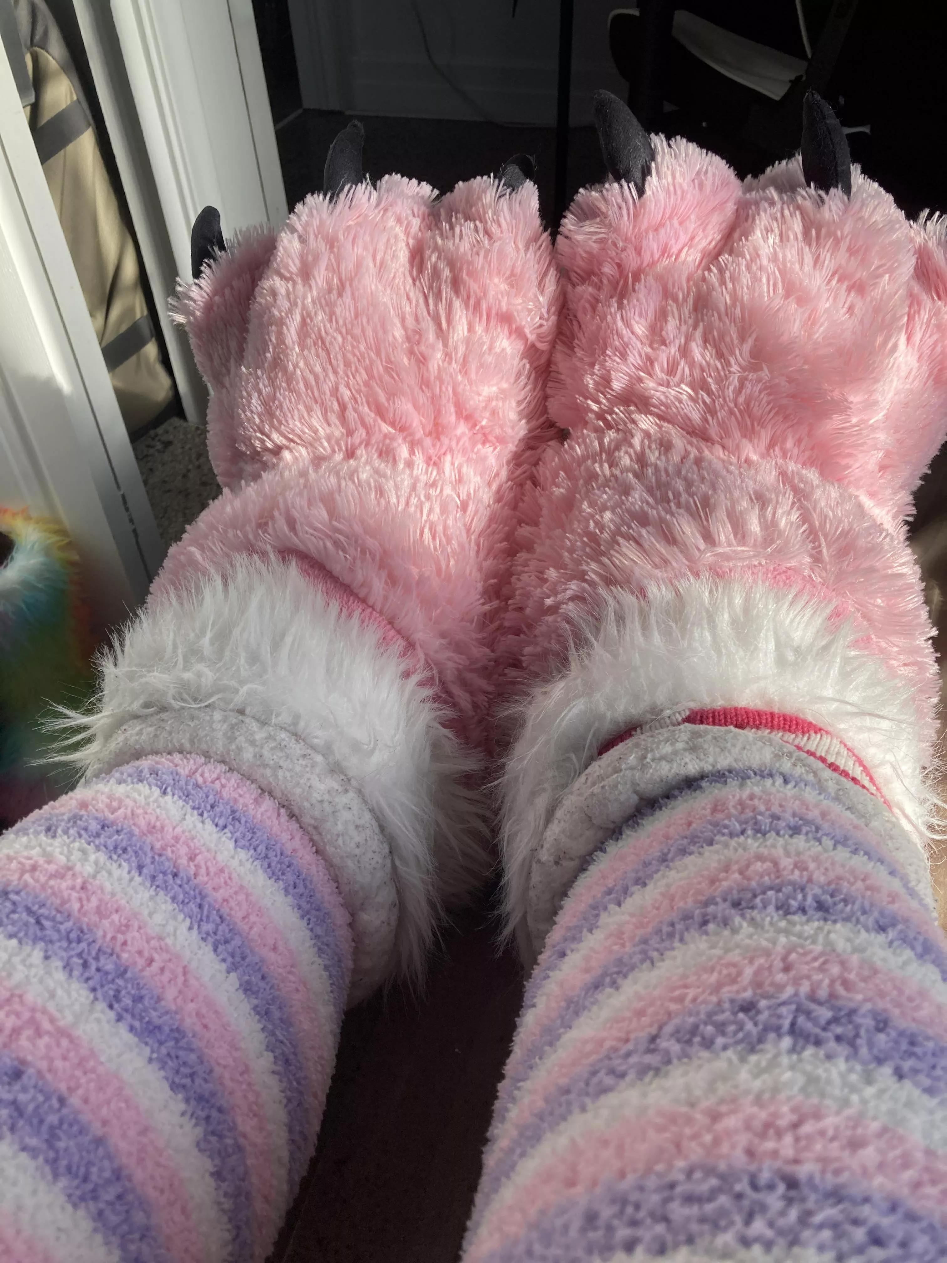 [m] do you like my furry paws and knee high fuzzy socks posted by Dgamer144