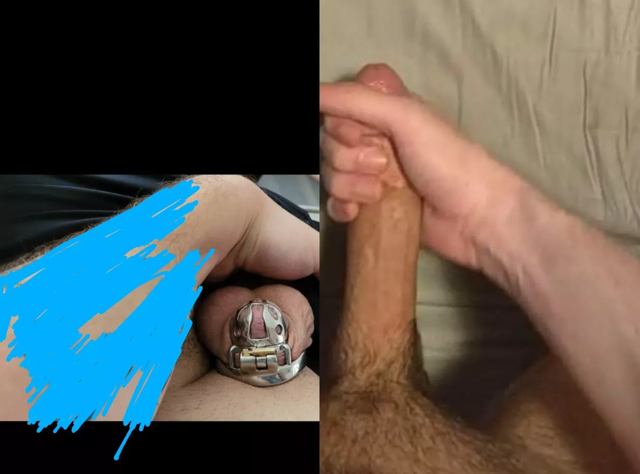 Me (left) vs. My Wife's Boyfriend (right) posted by PM_ME_UR_BOY_PARTS