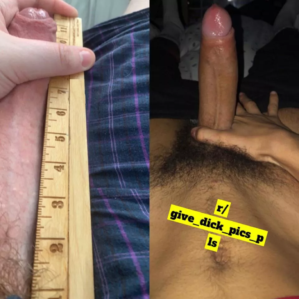 Mine vs r/give_dick_pics_pls. Who wins? (Make sure to DM him your cocks ðŸ˜‰) posted by joshhh4483