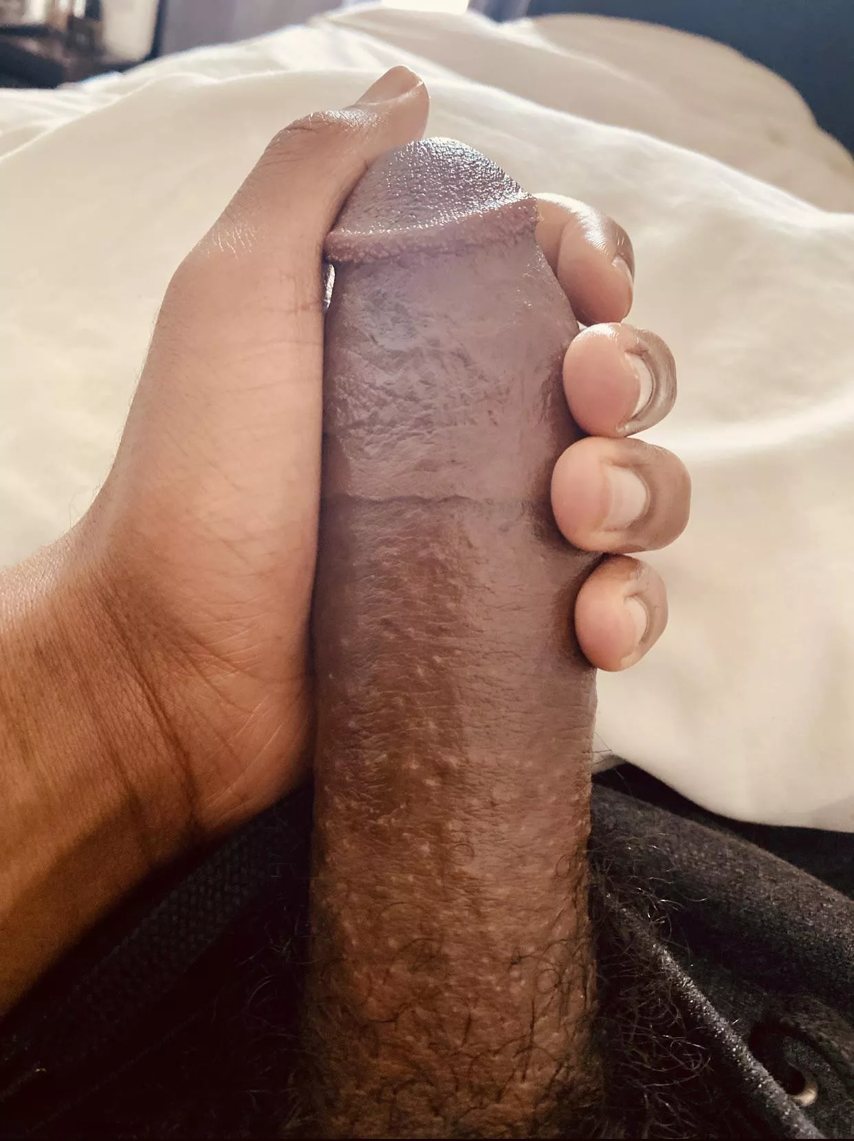 morning wood posted by stellarhaus