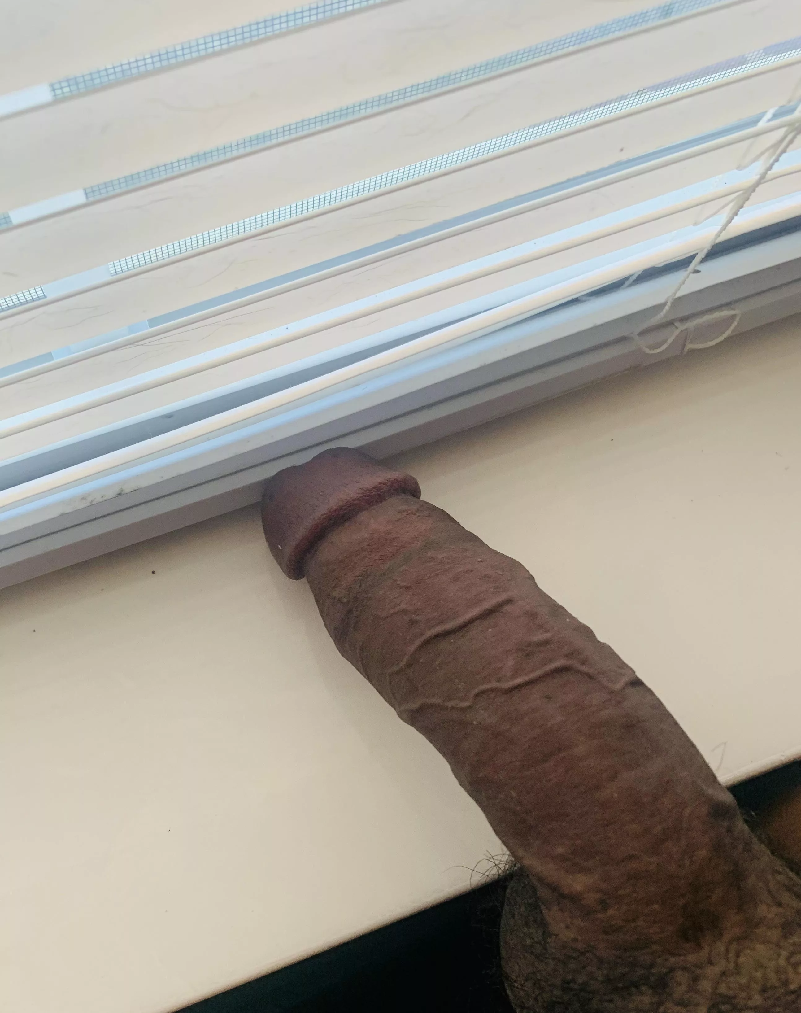 Morning wood posted by Abmlowkey93