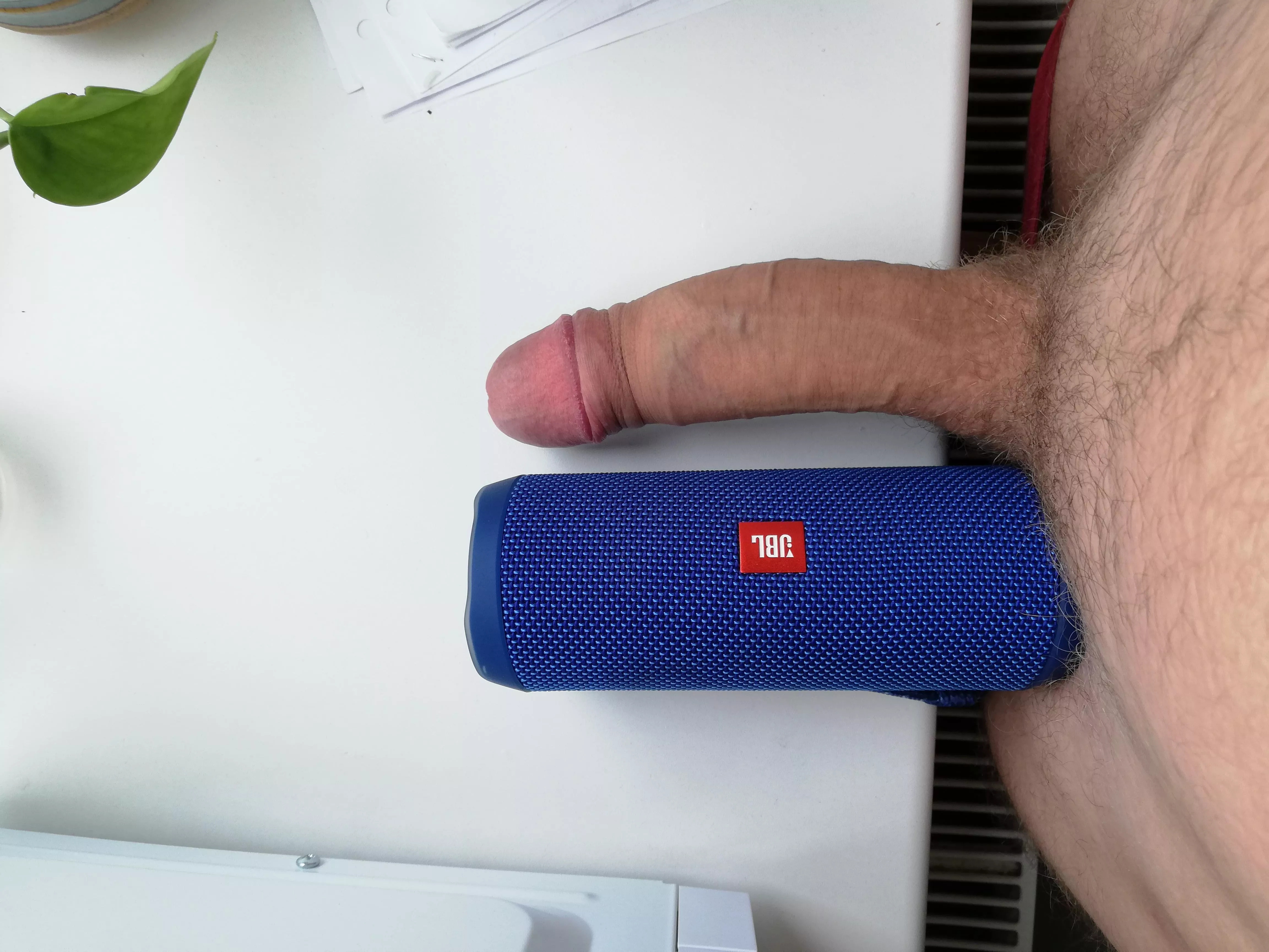 My cock against a JBL speaker posted by Ok_Researcher_1063