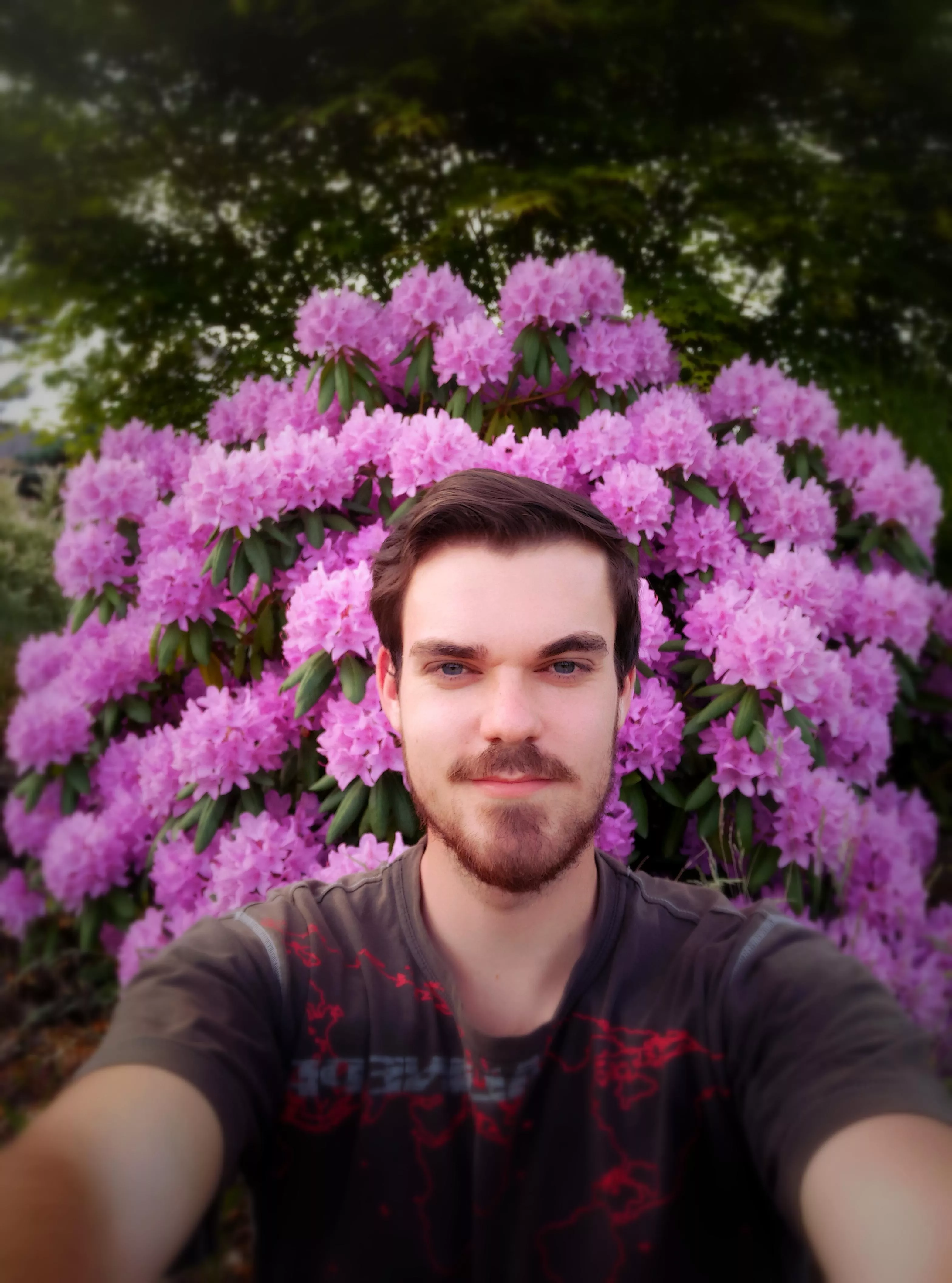 My favourite flower in my garden started to blossom 🌺.... couldn't help but take a selfie with it. posted by Chris_Osprey