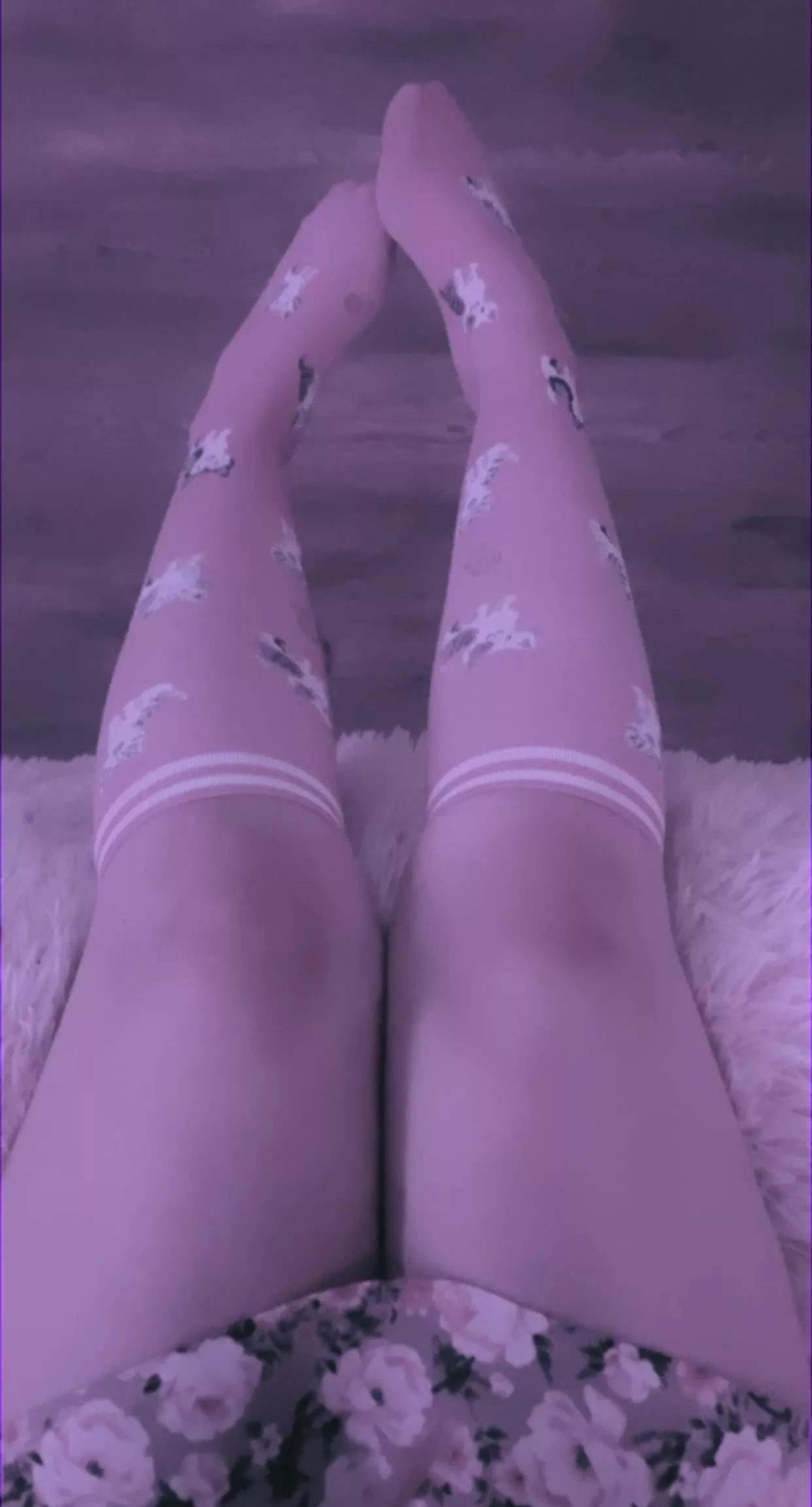 My socks of the day posted by bunnigloss