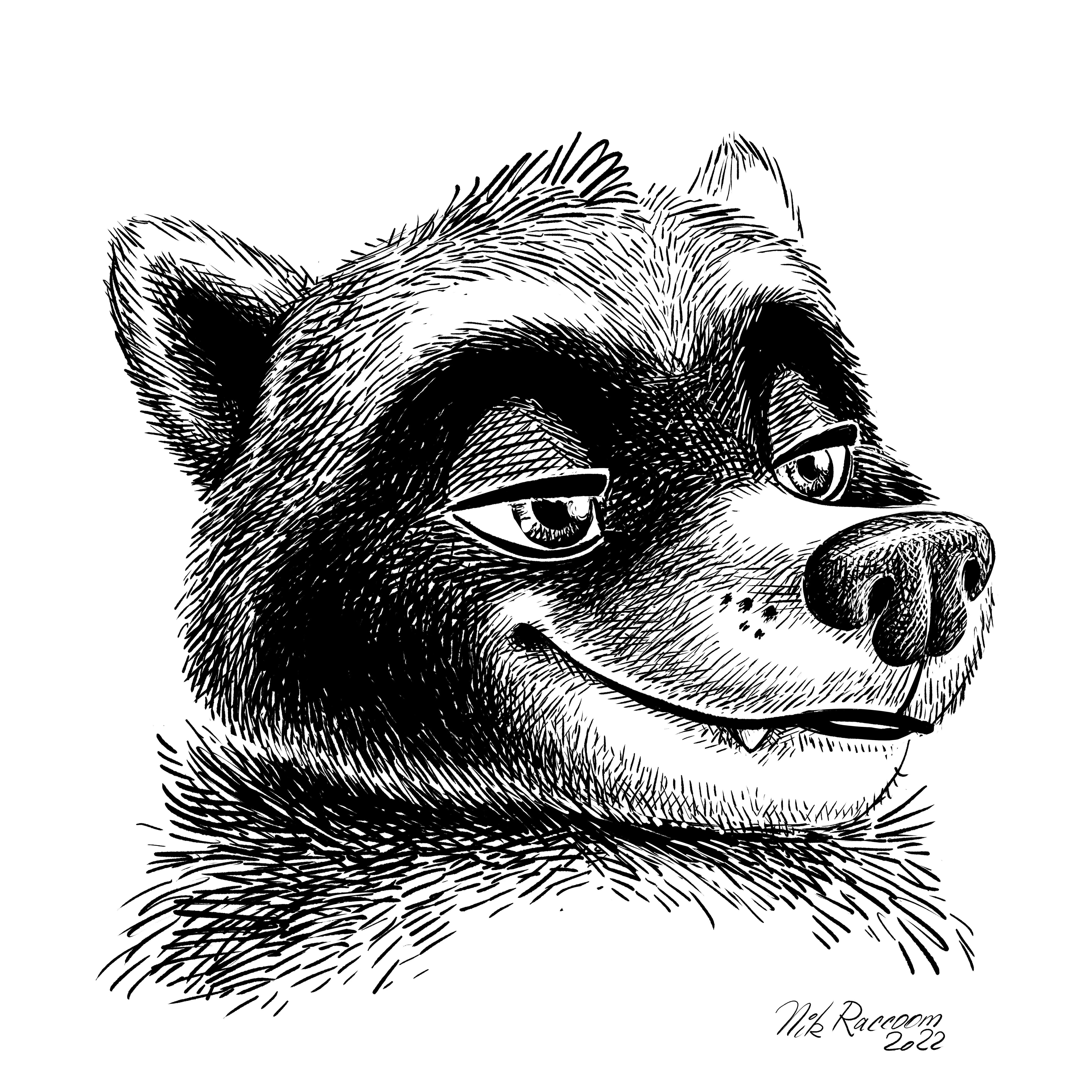 Raccoon portrait. By me posted by Nik159