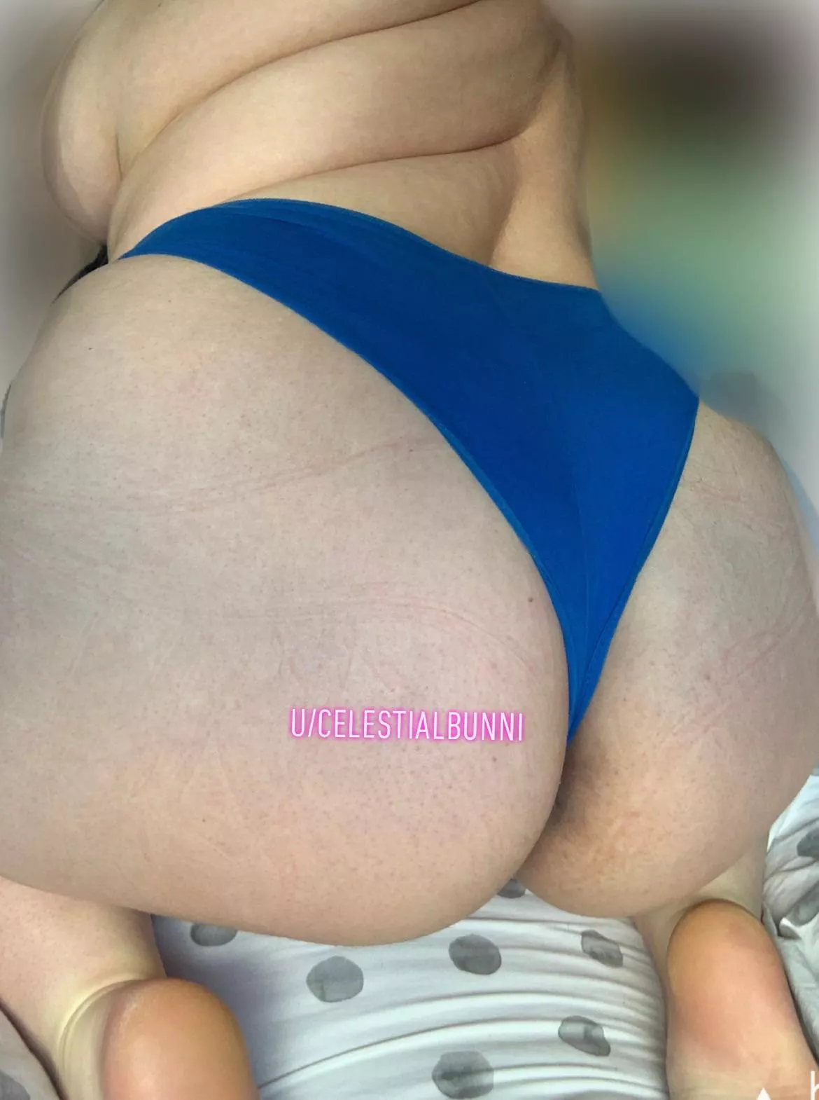 Scottish ass for you posted by CelestialBunni