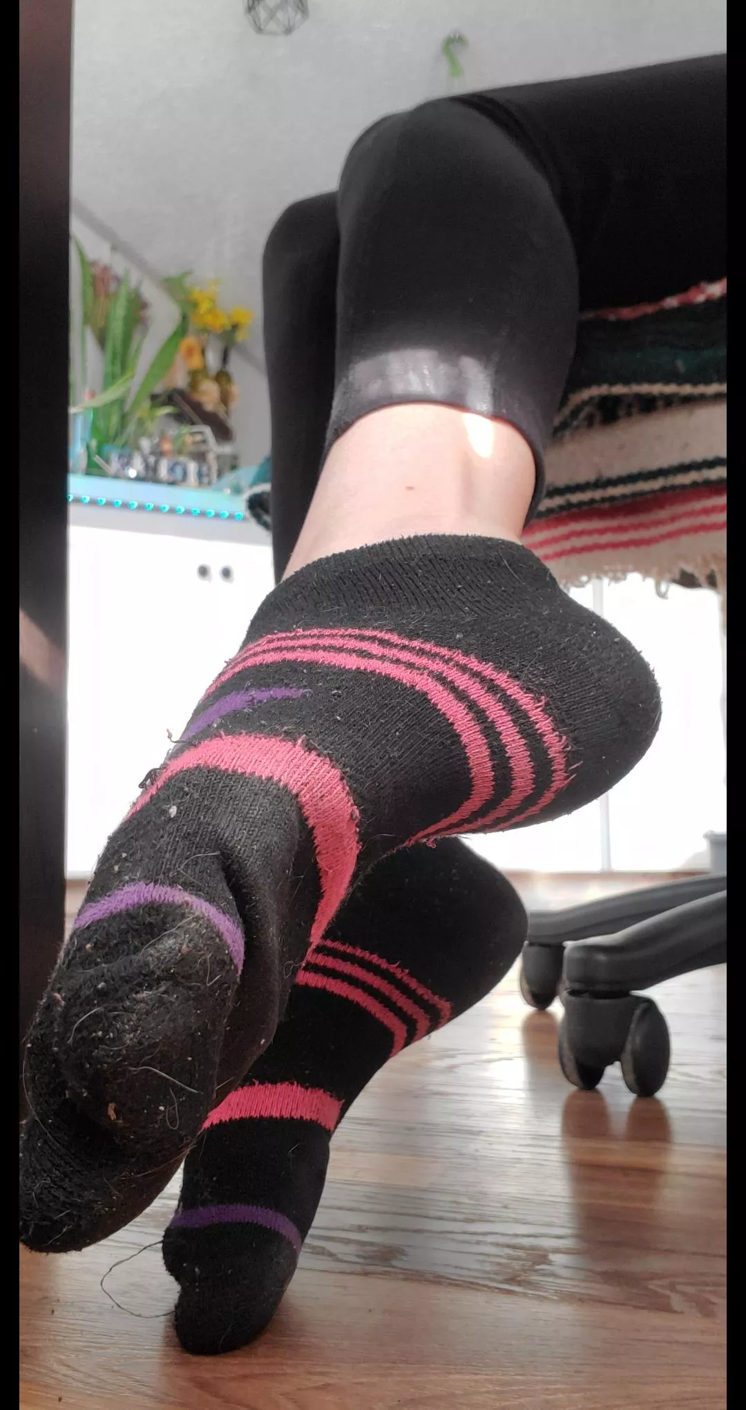 sniff my feet under my desk posted by Daddyslittlekitt3n