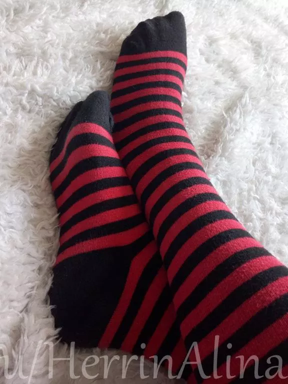 sniff my sweaty socks!!!! posted by HerrinAlina